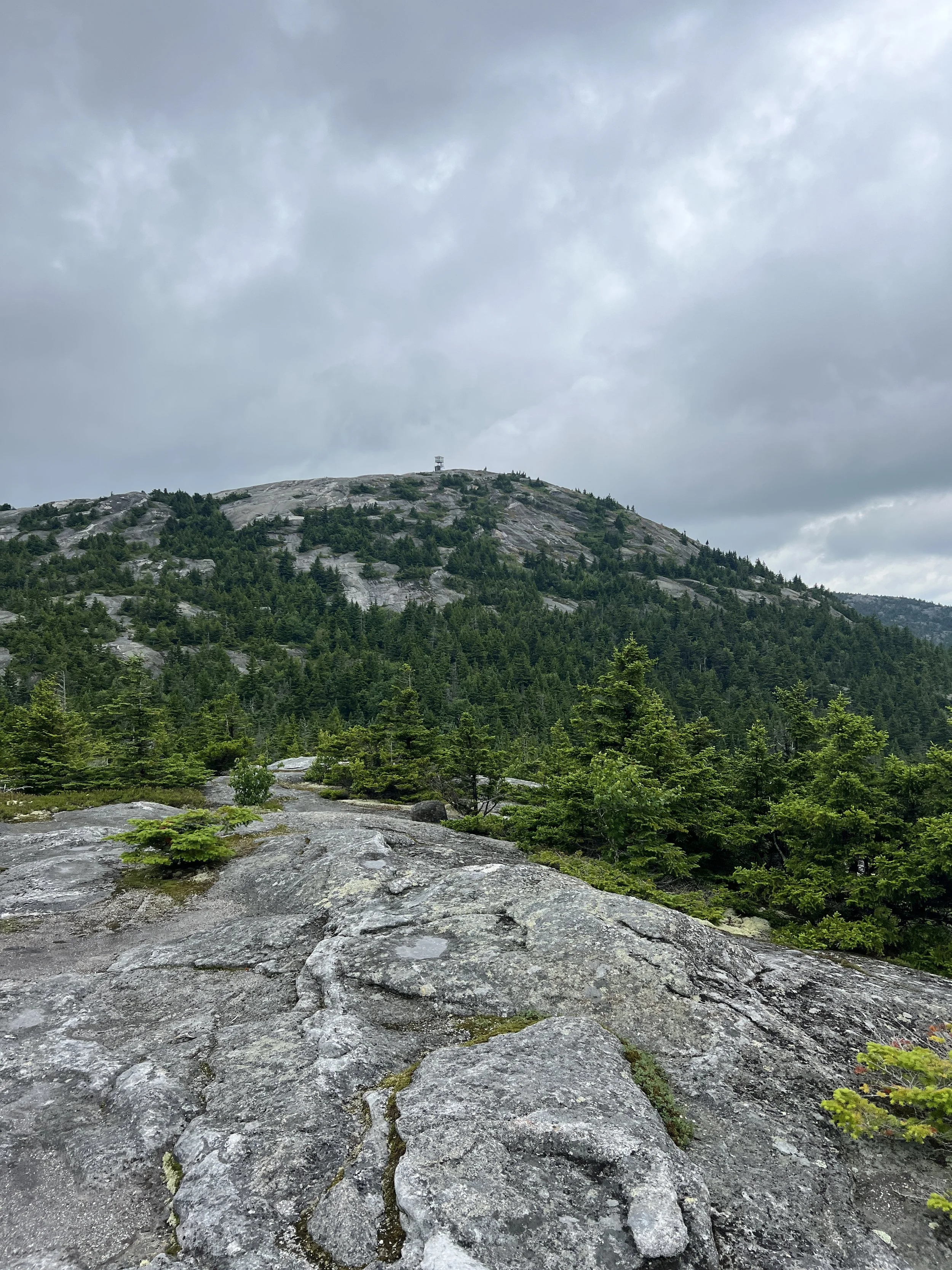 IMG_2079 2.JPG