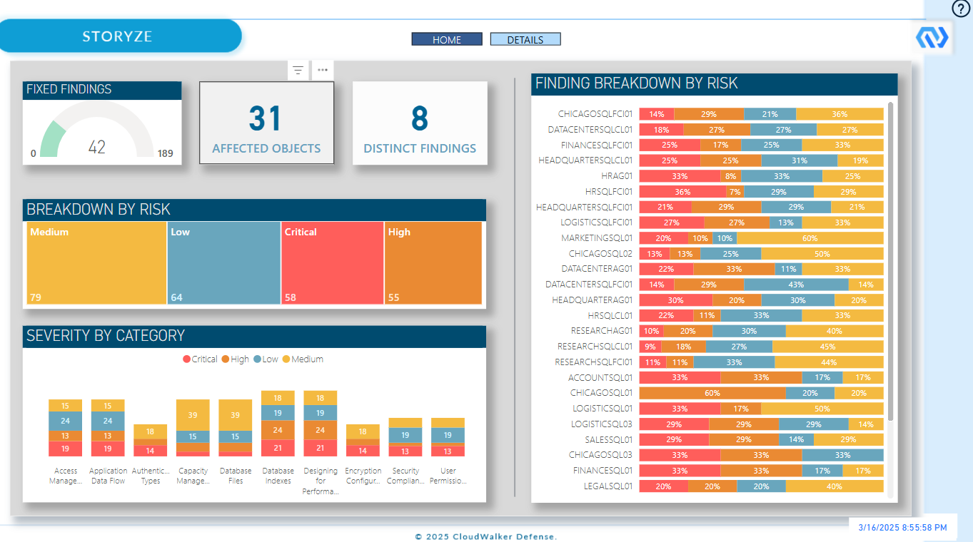 Storyze - Risk Assessments
