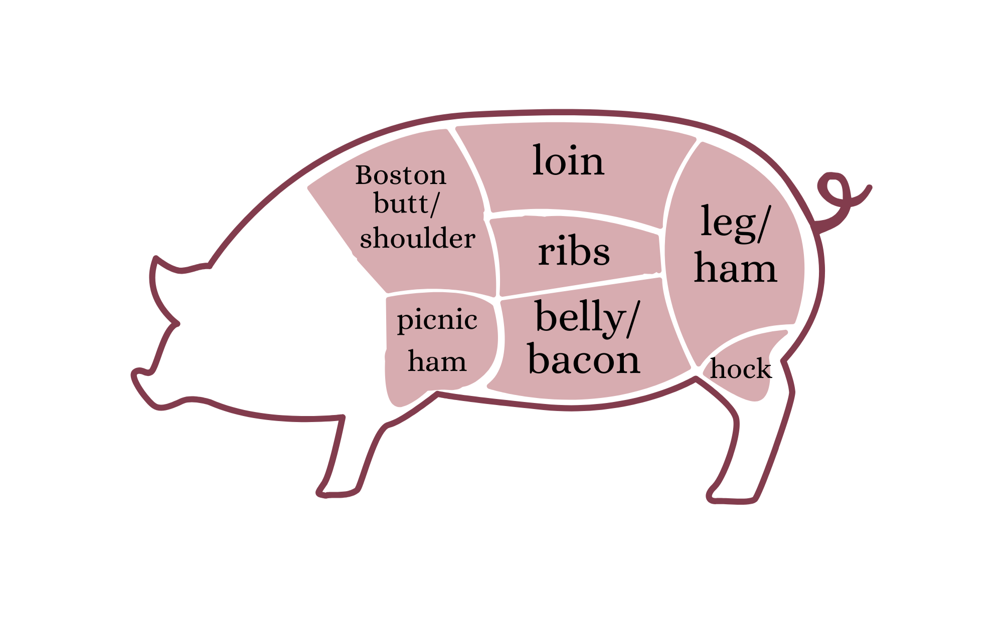 an image of a pig with common cuts of meat labeled