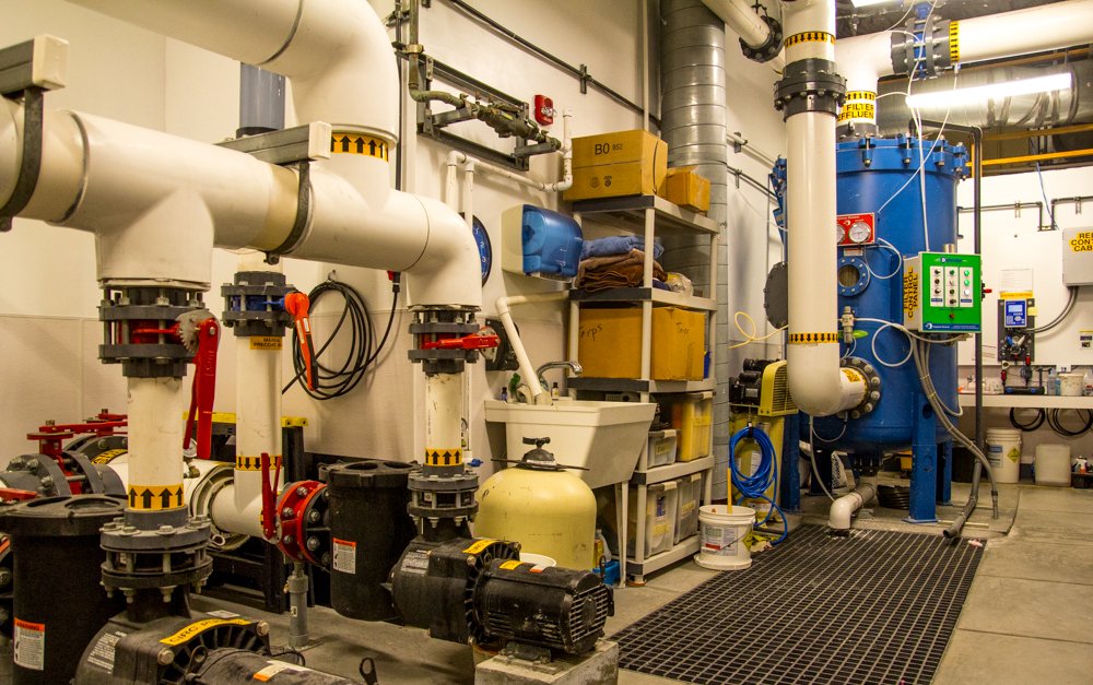 Advanced clean water filtration for heated year round indoor pool at Sutton Swim School in Silicon Valley