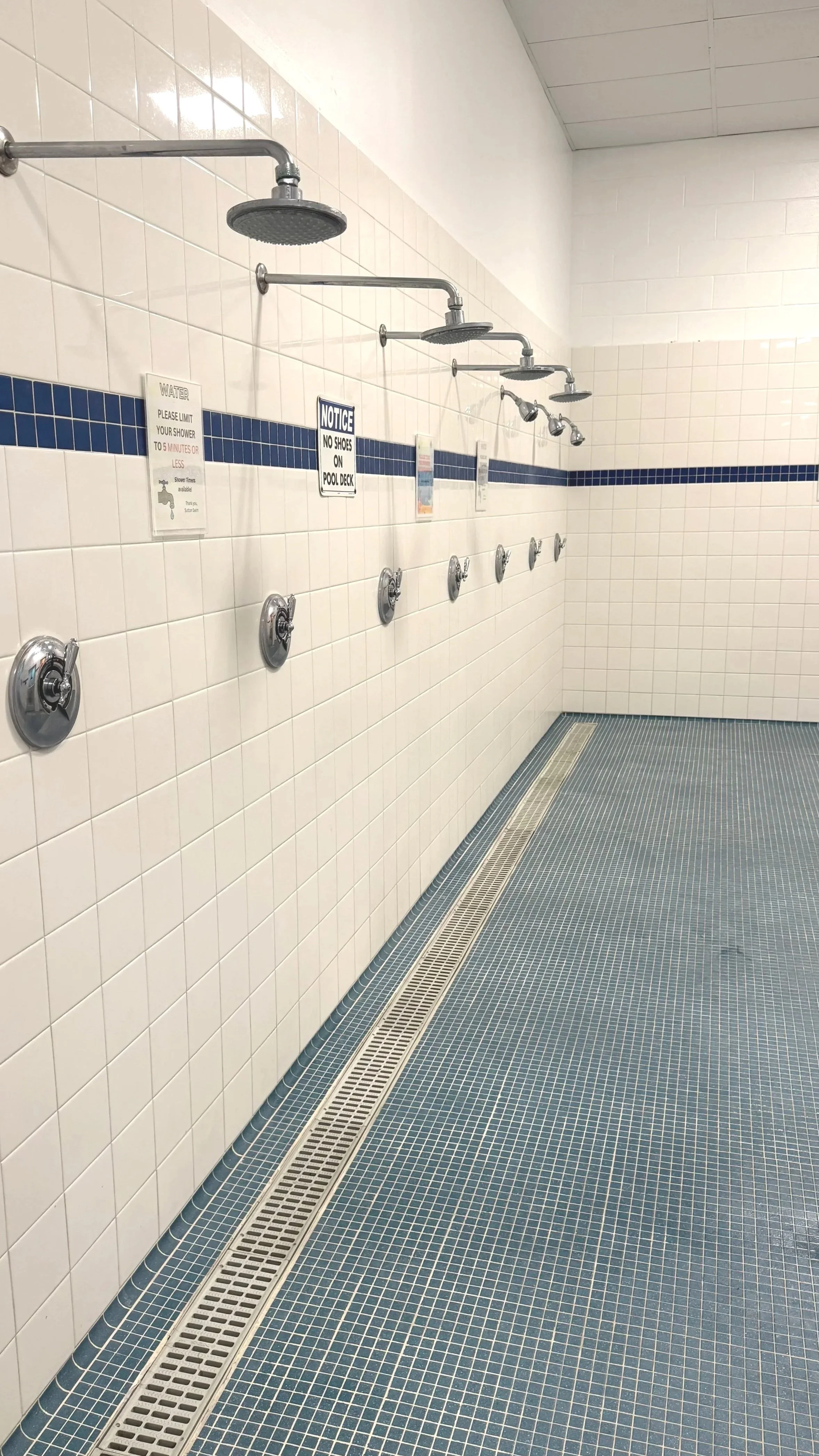 Row of showers in the locker room at Sutton Swim School in Campbell, CA