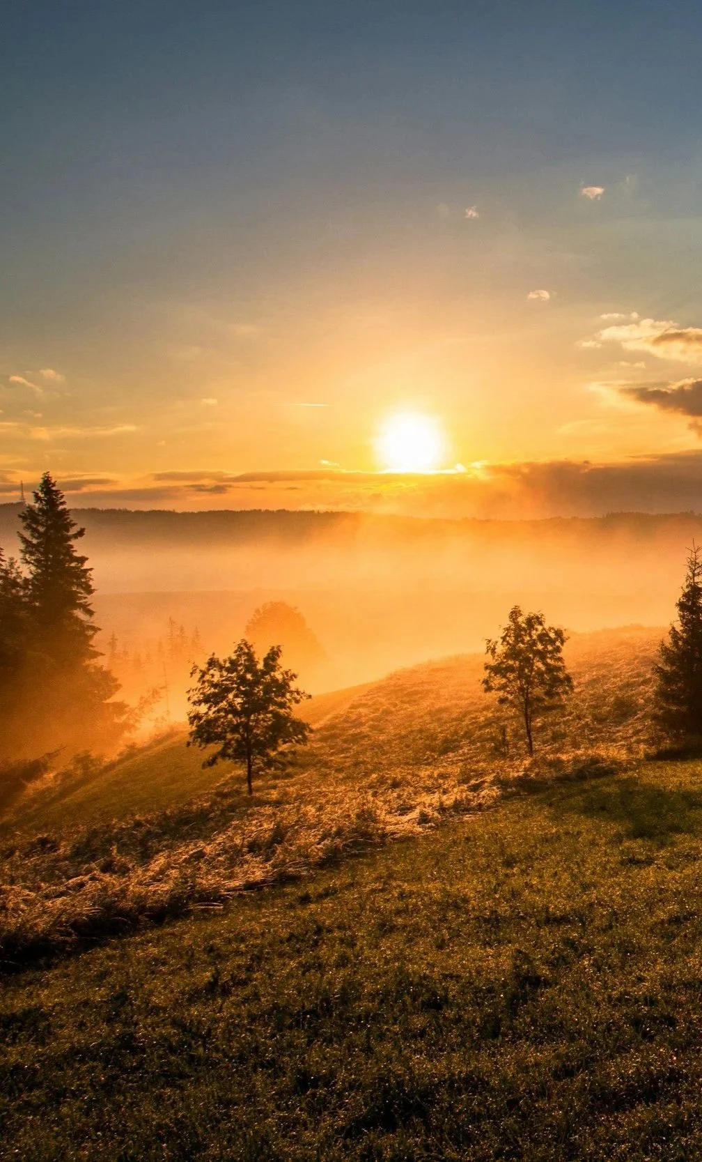 Sunrise over a green field with trees and mist, with a clear sky and scattered clouds.
