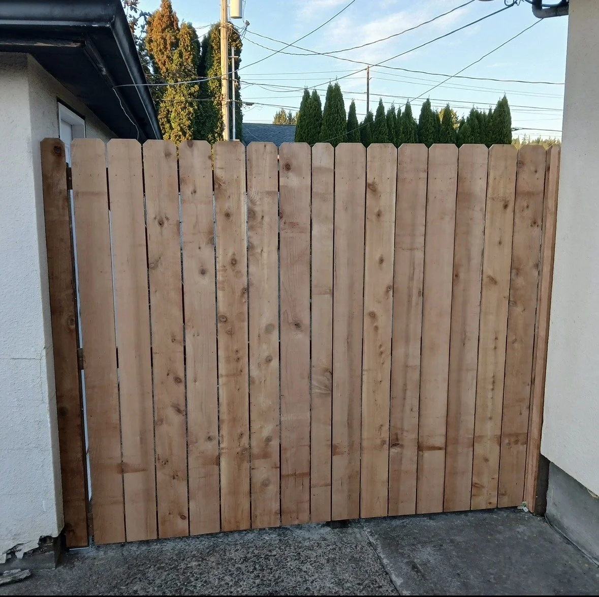 A newly installed wooden fence made of vertical planks between two house walls with a concrete ground in the foreground and trees and power lines in the background.