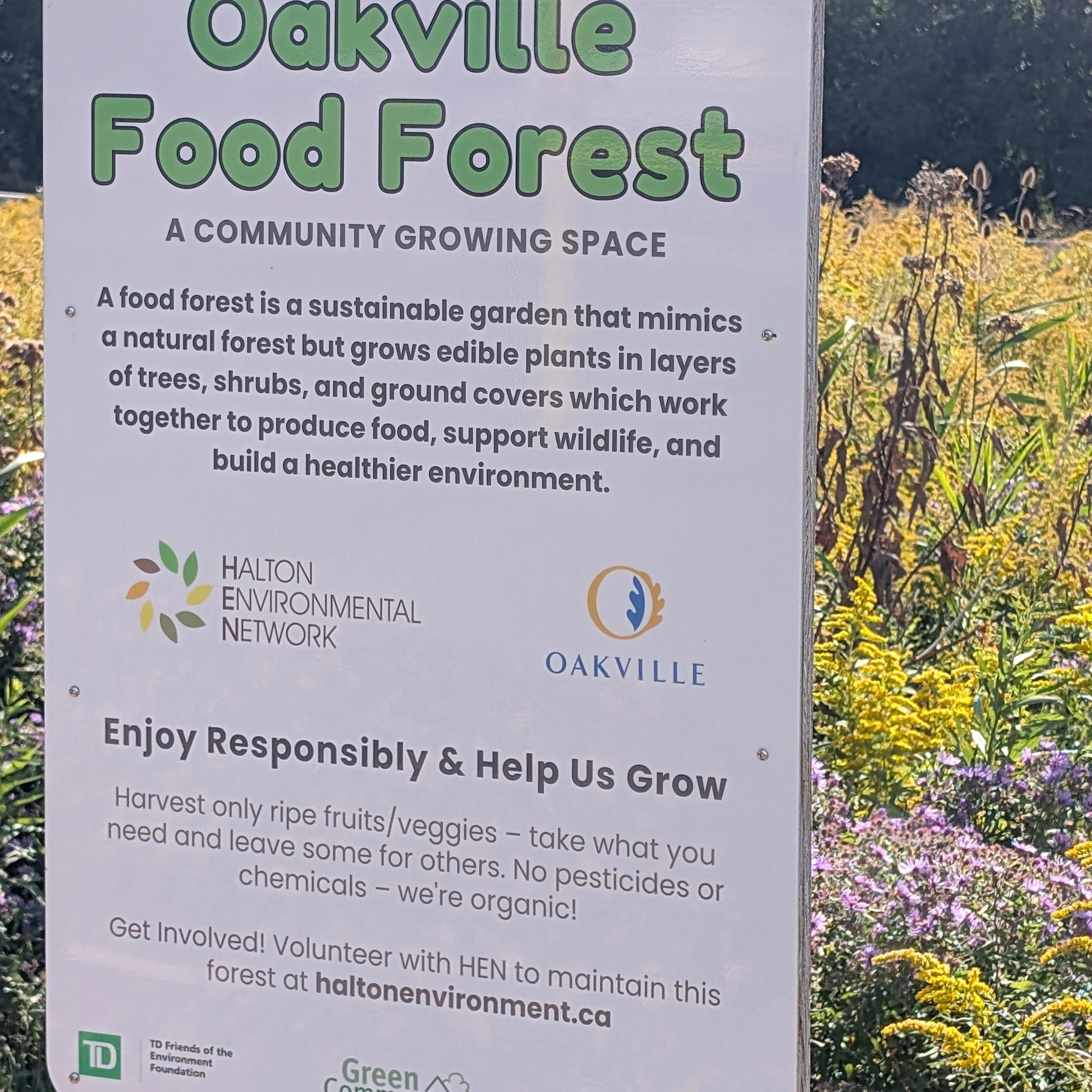 🌱 What a beautiful day for community building! 🌍

Today, the @henhere (Halton Environmental Network) organized and brought together amazing volunteers for a FREE hands-on planting event at the Oakville Food Forest at Kingsford Gardens in Clearview.