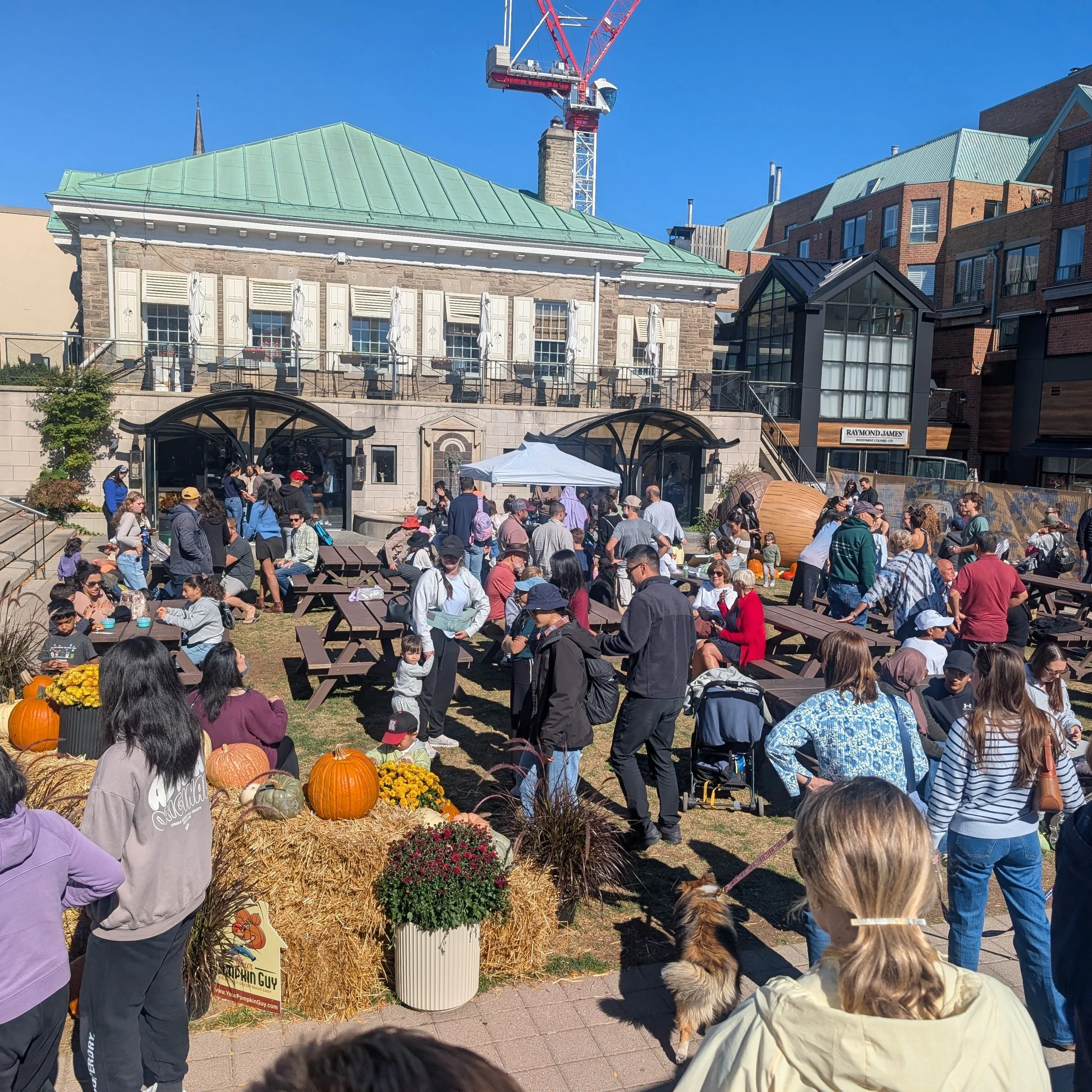 🍂 Hats off to the @oakvilledowntown BIA! 🍂

Acornfest was PACKED this afternoon, and for good reason. The energy, the crowds, the activities... what a perfect way to welcome fall! And it's the ideal follow-up to this summer's absolutely spectacular