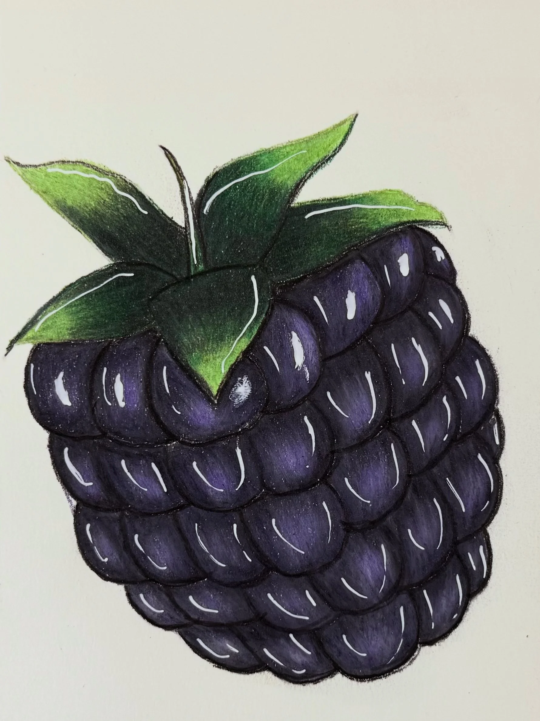 Hand-drawn illustration of a cluster of blackberries with green leaves on a white background.