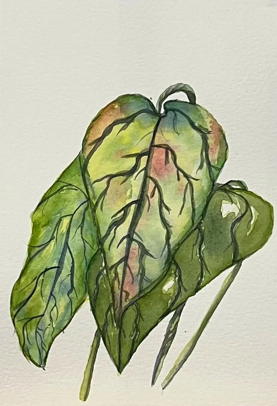 A watercolor painting of two green leaves with visible veins and some brown spots.