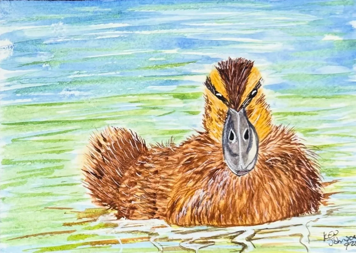 Watercolor painting of a platypus floating in water with a background of rippling water in shades of blue and green.