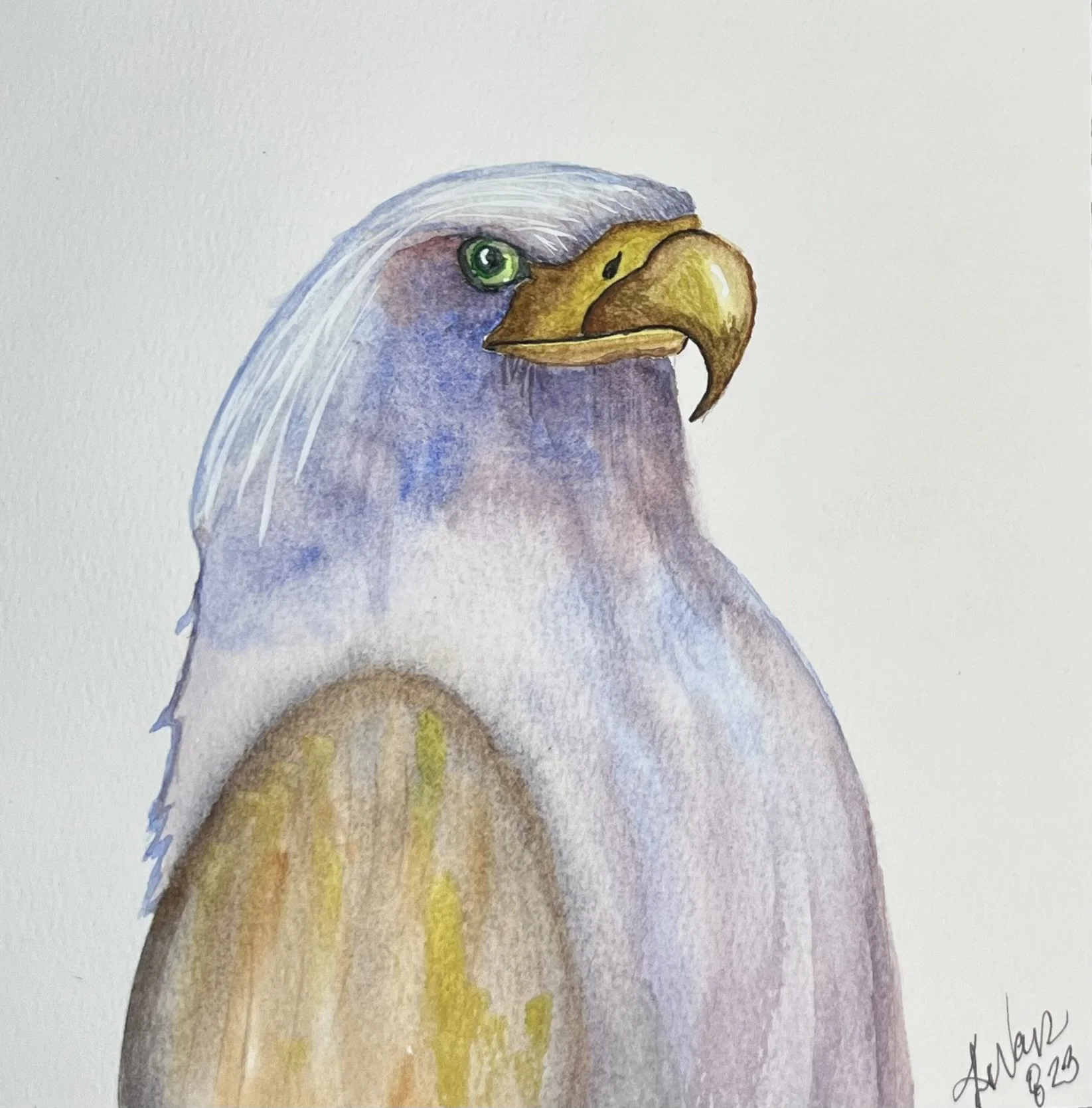 Watercolor painting of a bird with a gray head, yellow beak, and purple wings, against a white background.