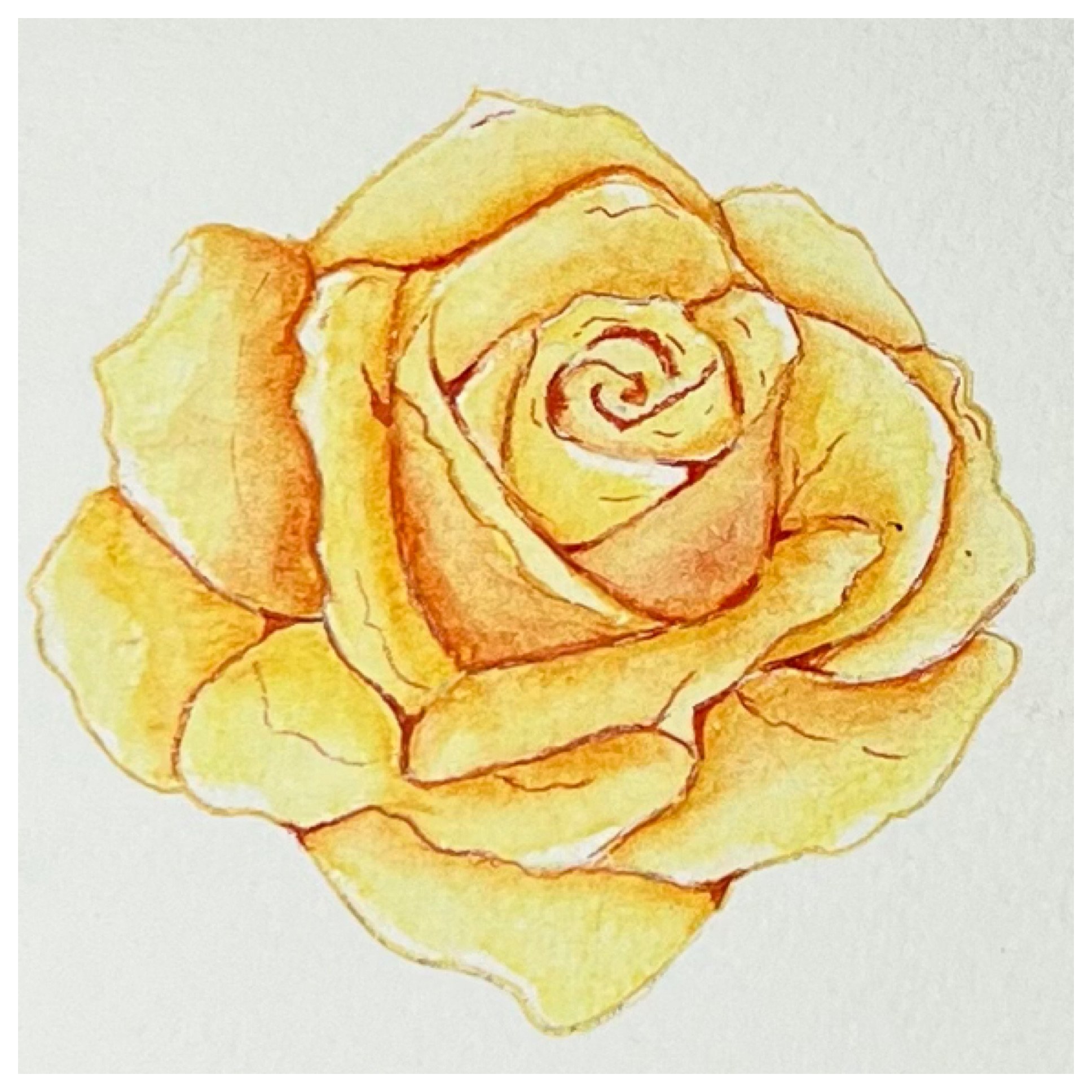 A hand-drawn watercolor illustration of a yellow rose with orange accents, detailed with visible petal lines and shading, on a plain background.