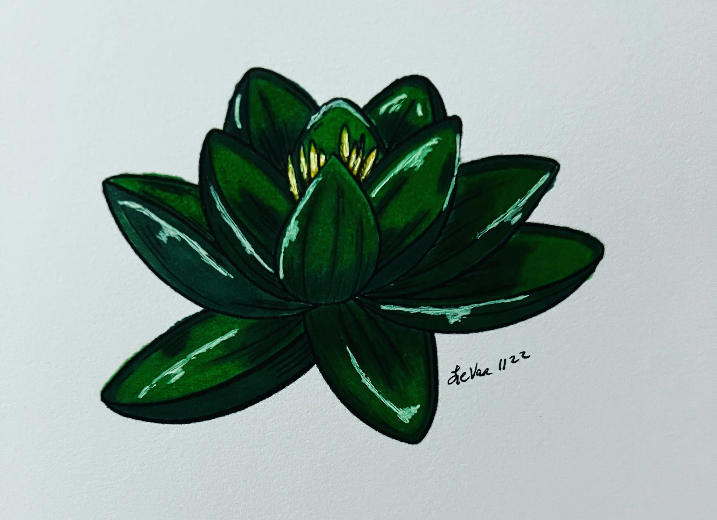 A colored drawing of a green succulent plant with thick, pointed leaves. The artist's signature and date, 'Jevan 11'22,' are visible at the bottom right corner.