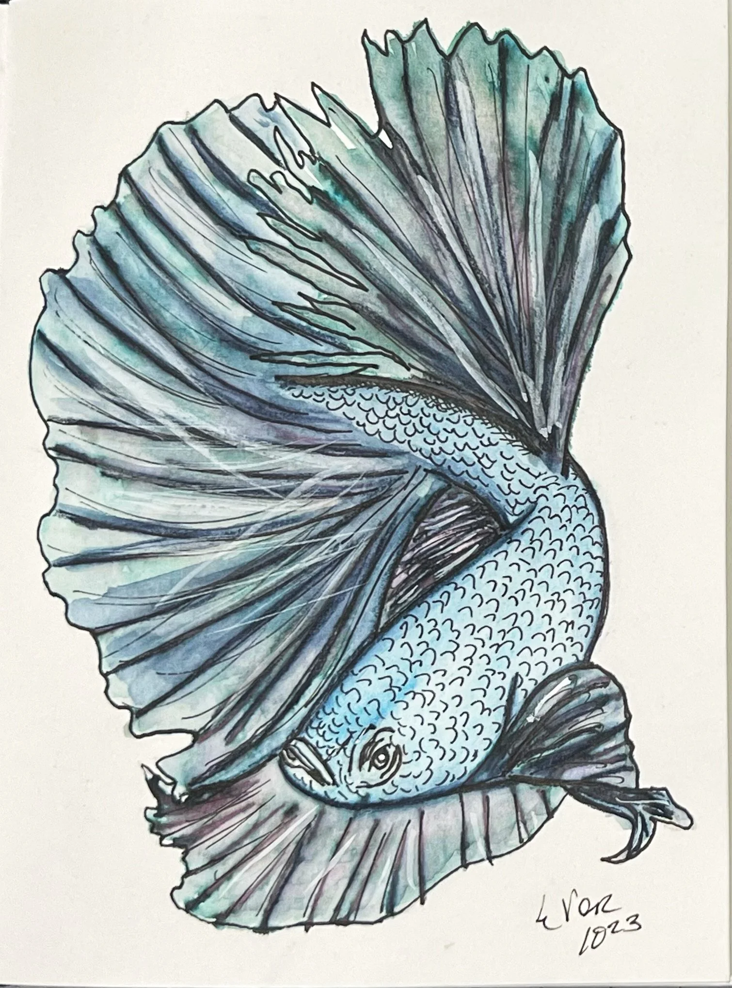 Watercolor painting of a fish with detailed scales and fins, signed and dated 1923.