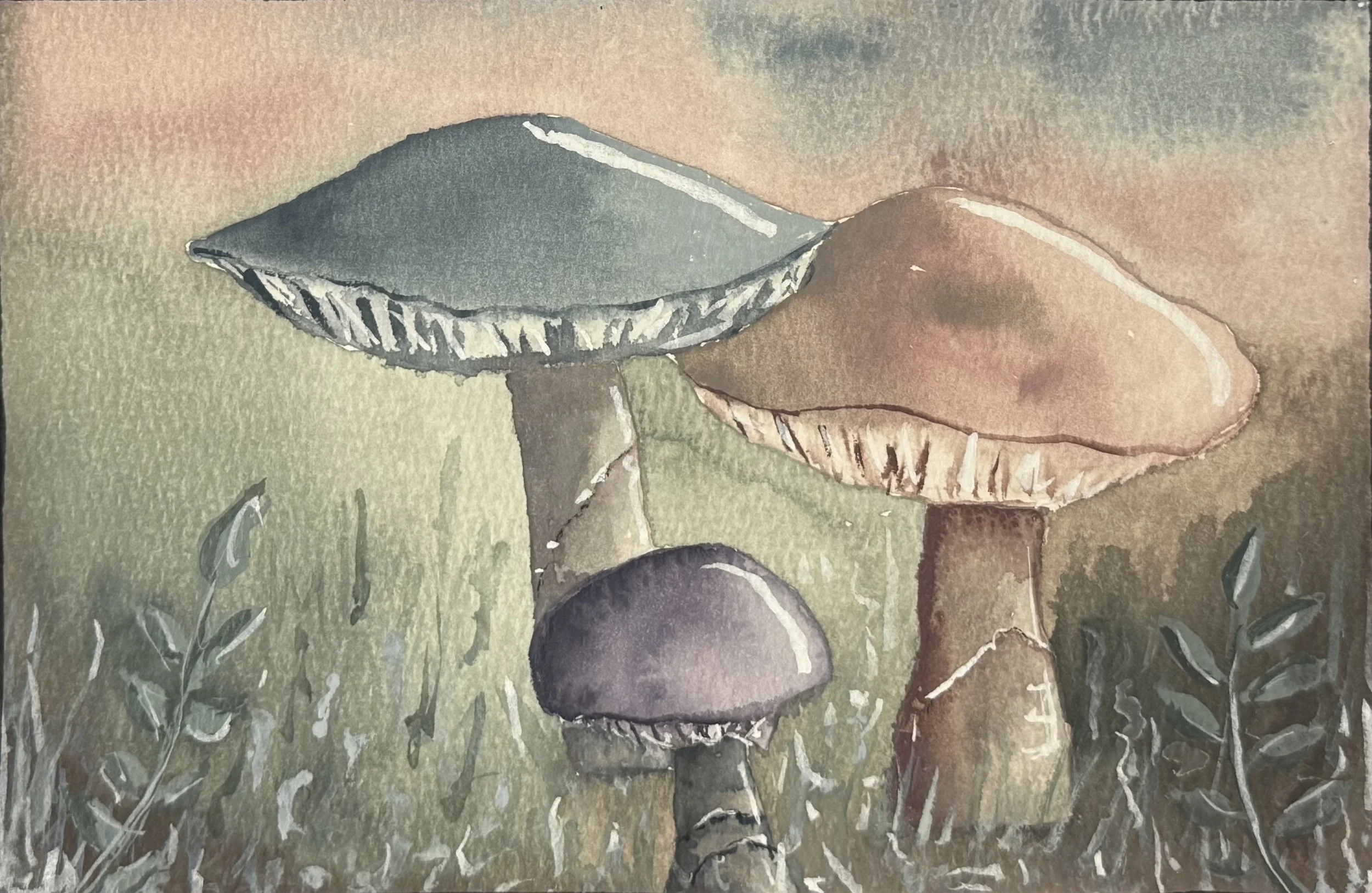 A watercolor painting of mushrooms with dark tops and lighter stems, set outdoors among grass and plants.