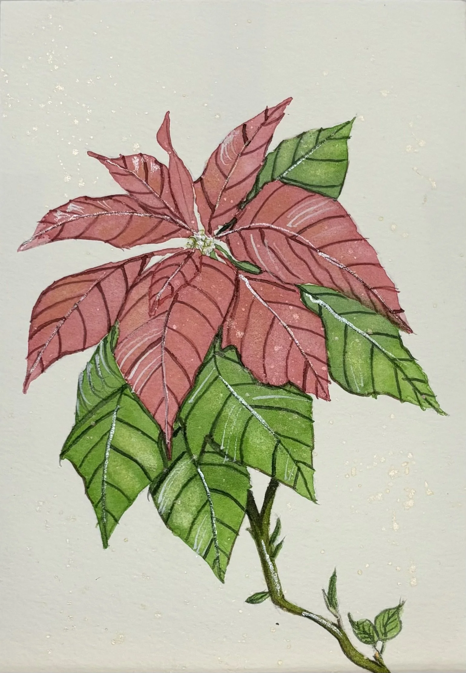 Illustration of a plant with red and green leaves and a small white flower at the center on a light background.