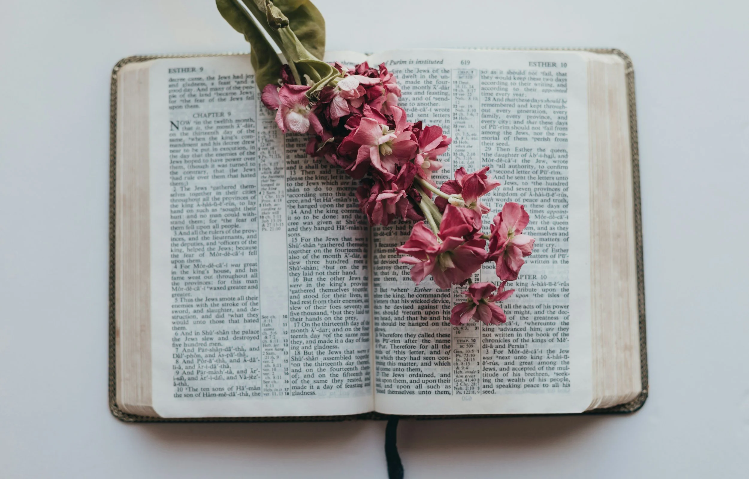 An open book with pink and white flowers placed on it.