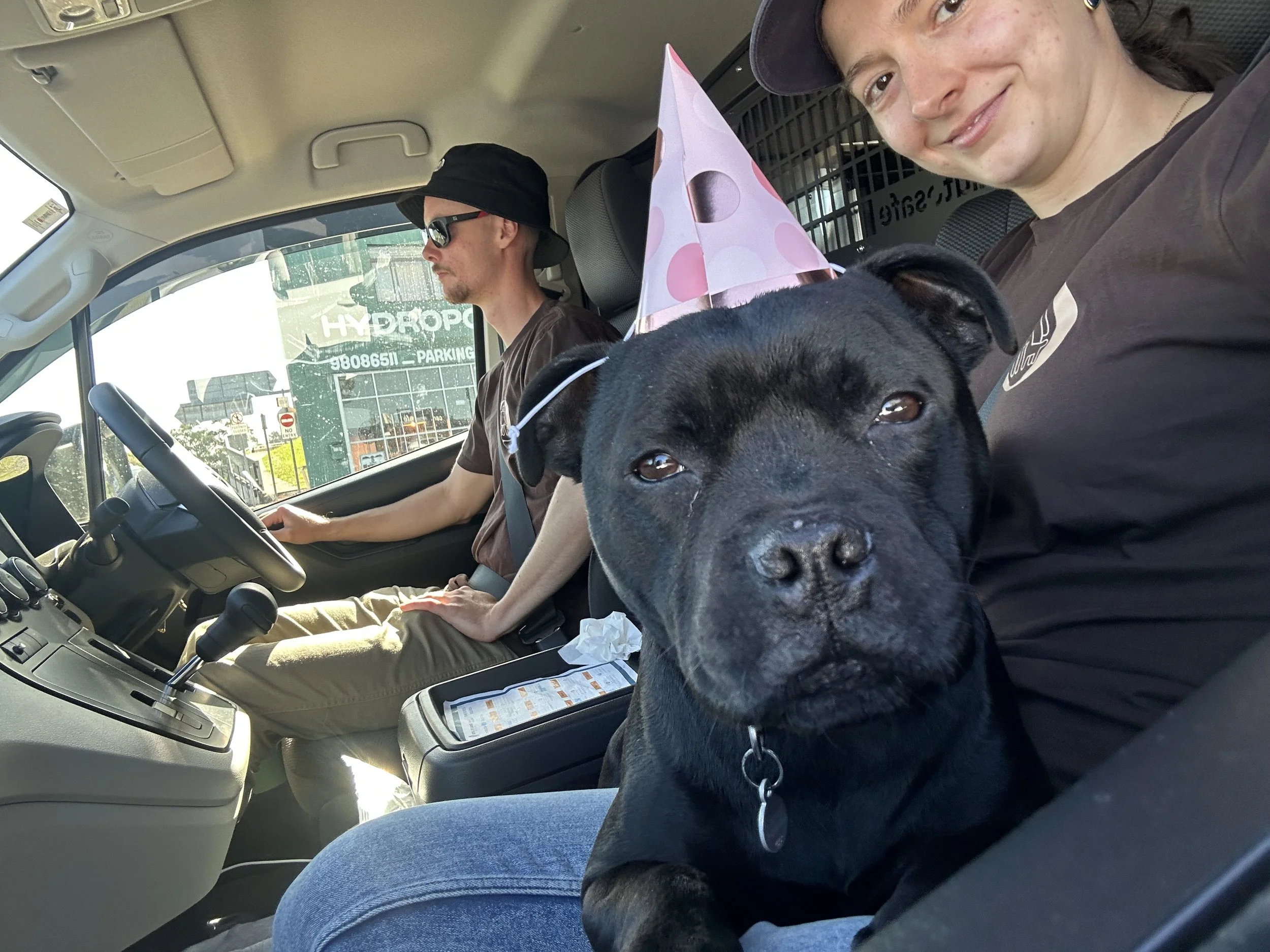 A woman smiling in the passenger seat of a car, with a dog wearing a pink party hat in her lap. A man is driving, wearing sunglasses and a hat, with the car's dashboard and a parking lot visible outside.