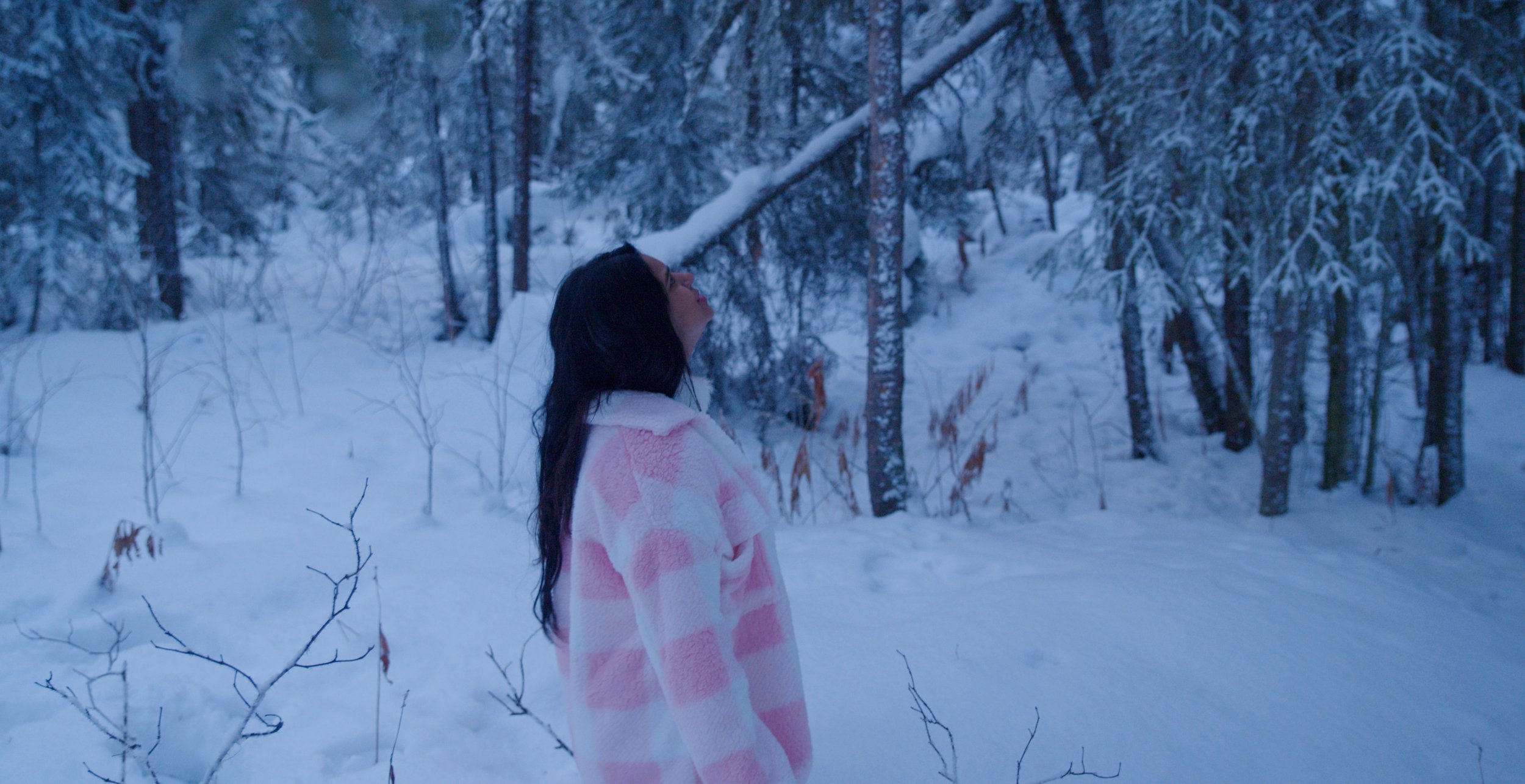 Cinematic Films