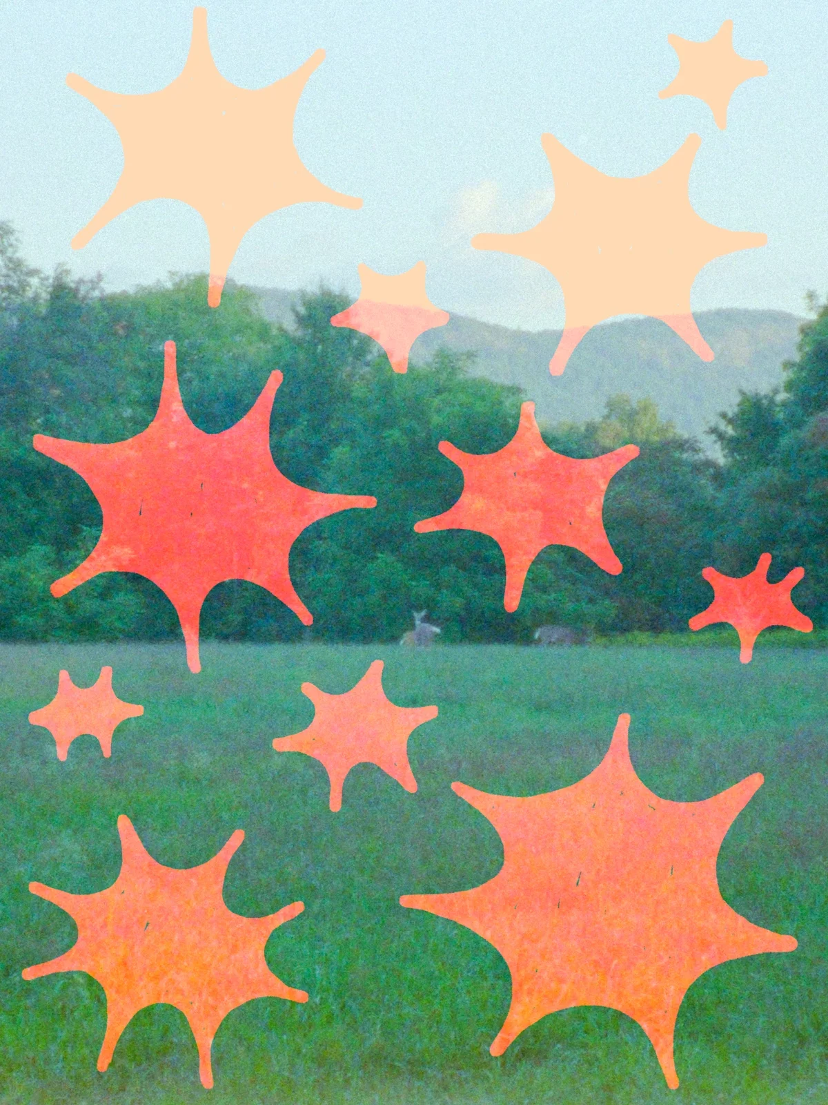 2e402718cf918fa388d9bfc282862bf0.webp