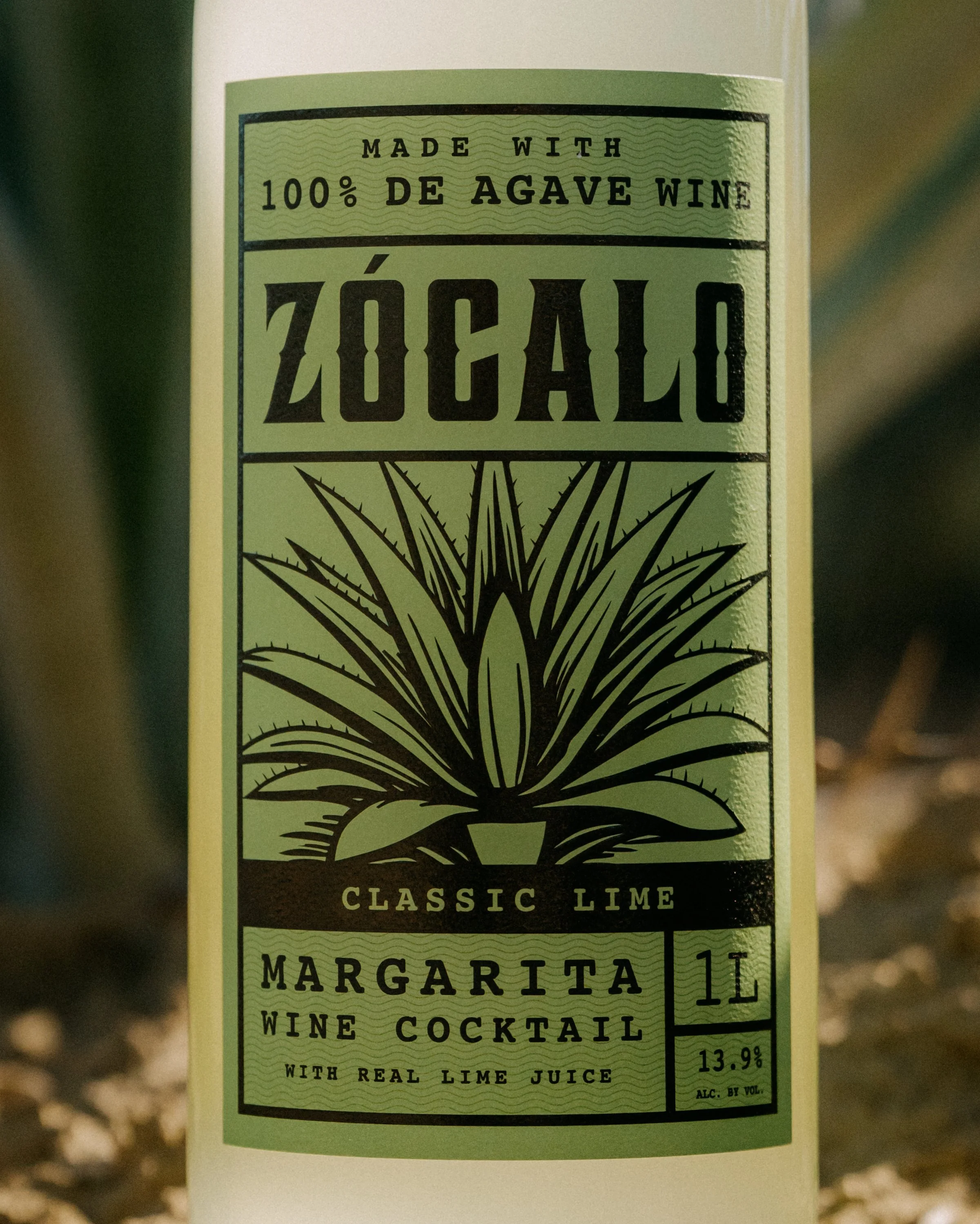 Zocalo-63.jpg