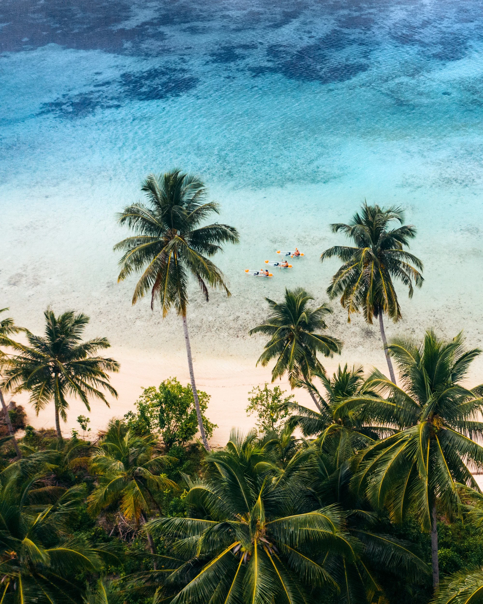Tropical beach scene with tall palm trees in the foreground, calm ocean water with gentle waves, and a small boat with three people rowing on the water.