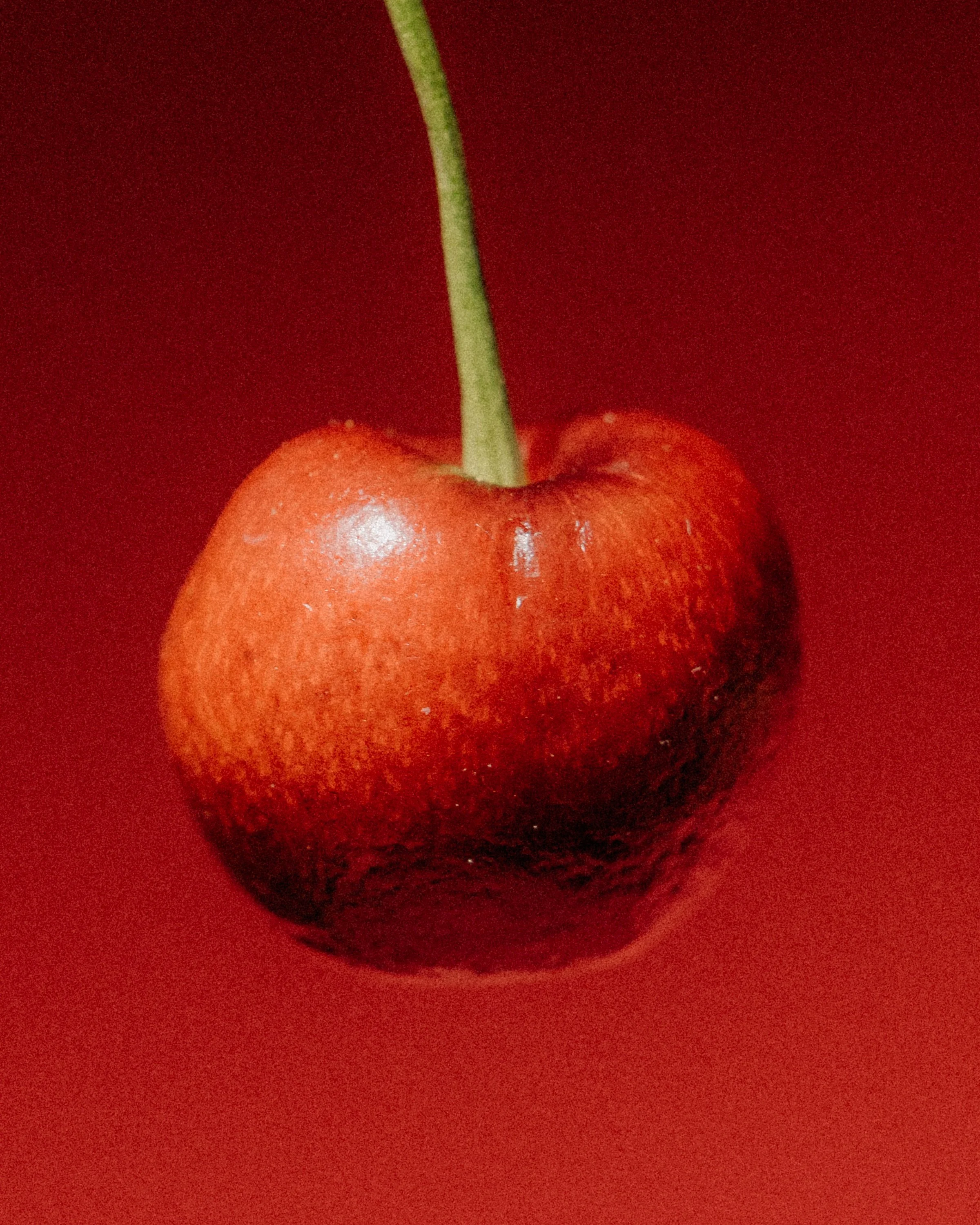 Close-up of a red cherry with a green stem against a red background.