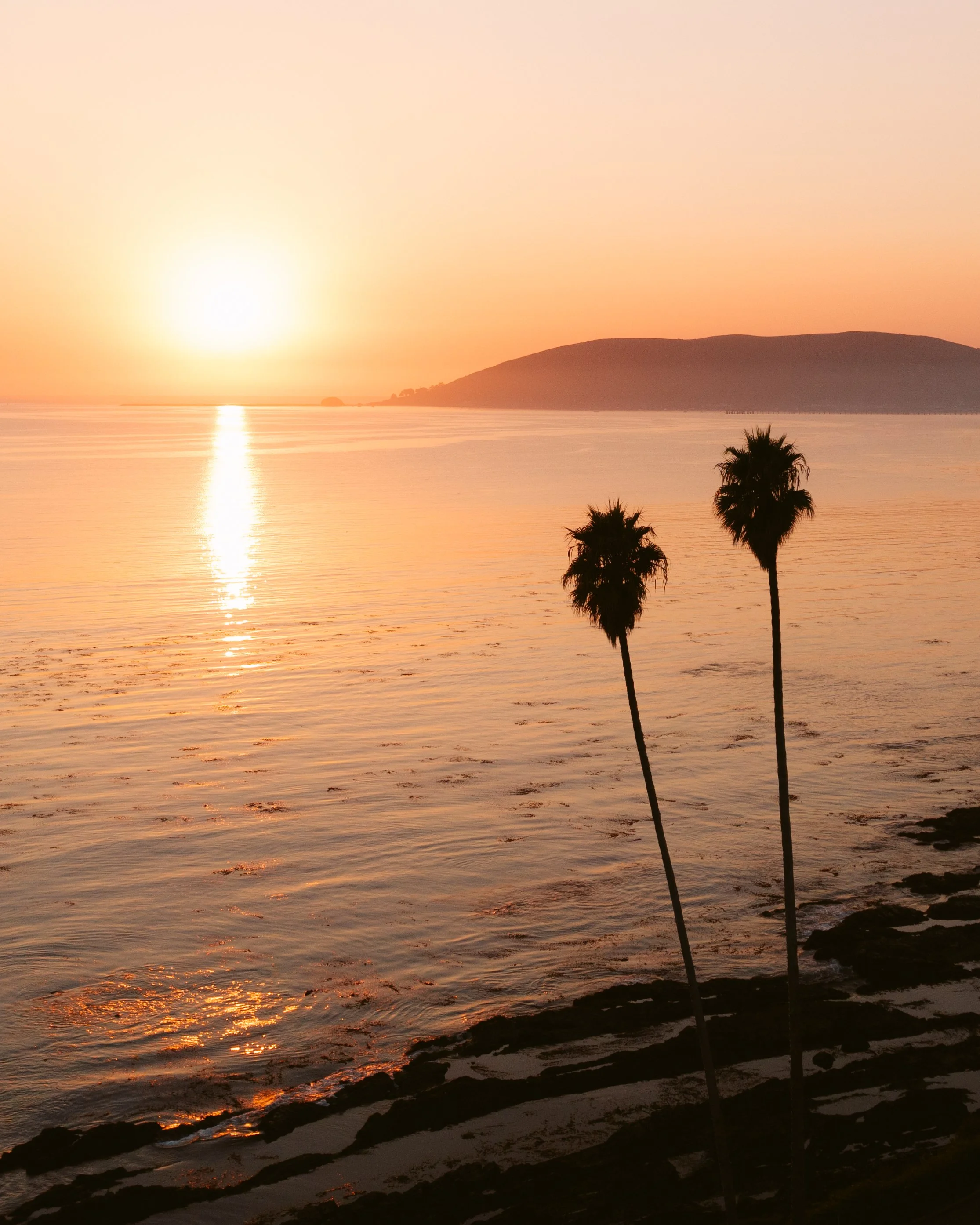 Sunset over a calm body of water with two tall palm trees in the foreground and a mountain on the horizon, with a warm orange and pink sky.