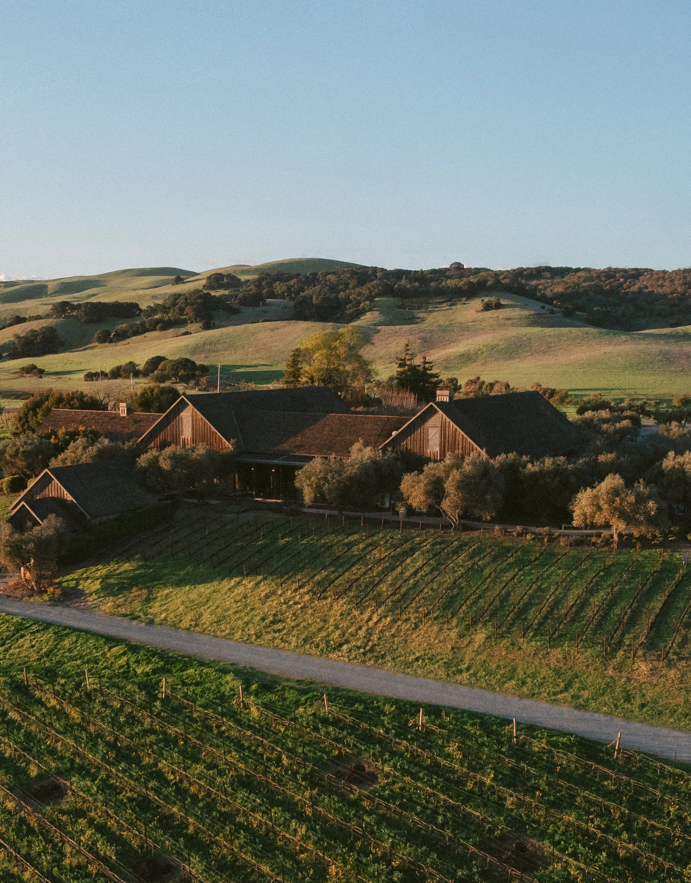 Rolling green hills under a clear sky with a few scattered trees and houses at the bottom of the image.