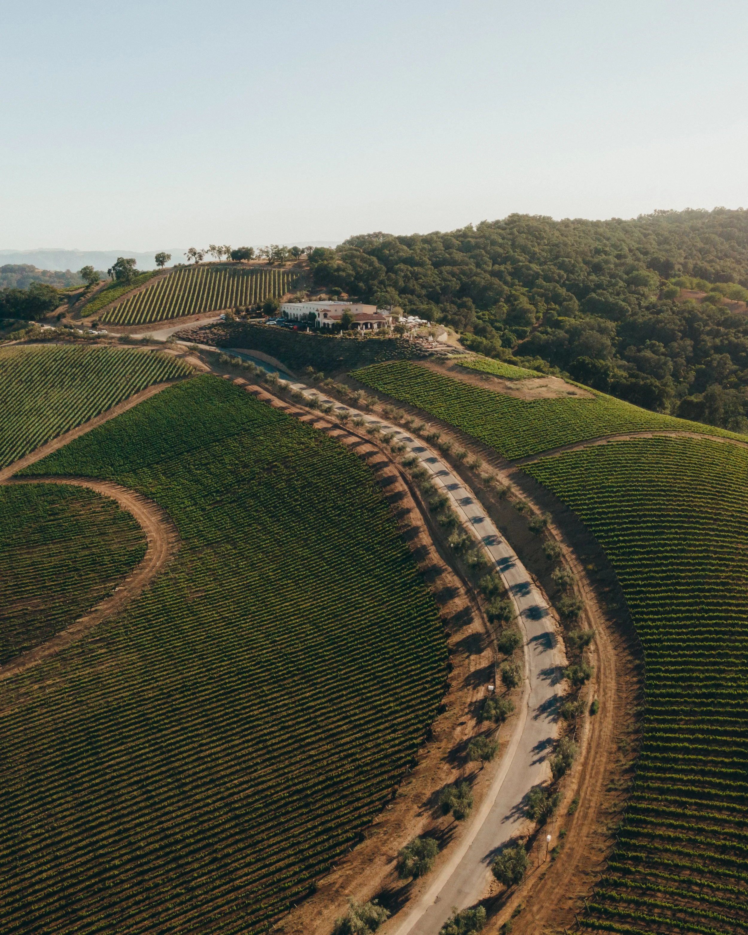 An aerial view of rolling hills with vineyards, a winding road, and a cluster of buildings in a scenic countryside landscape.