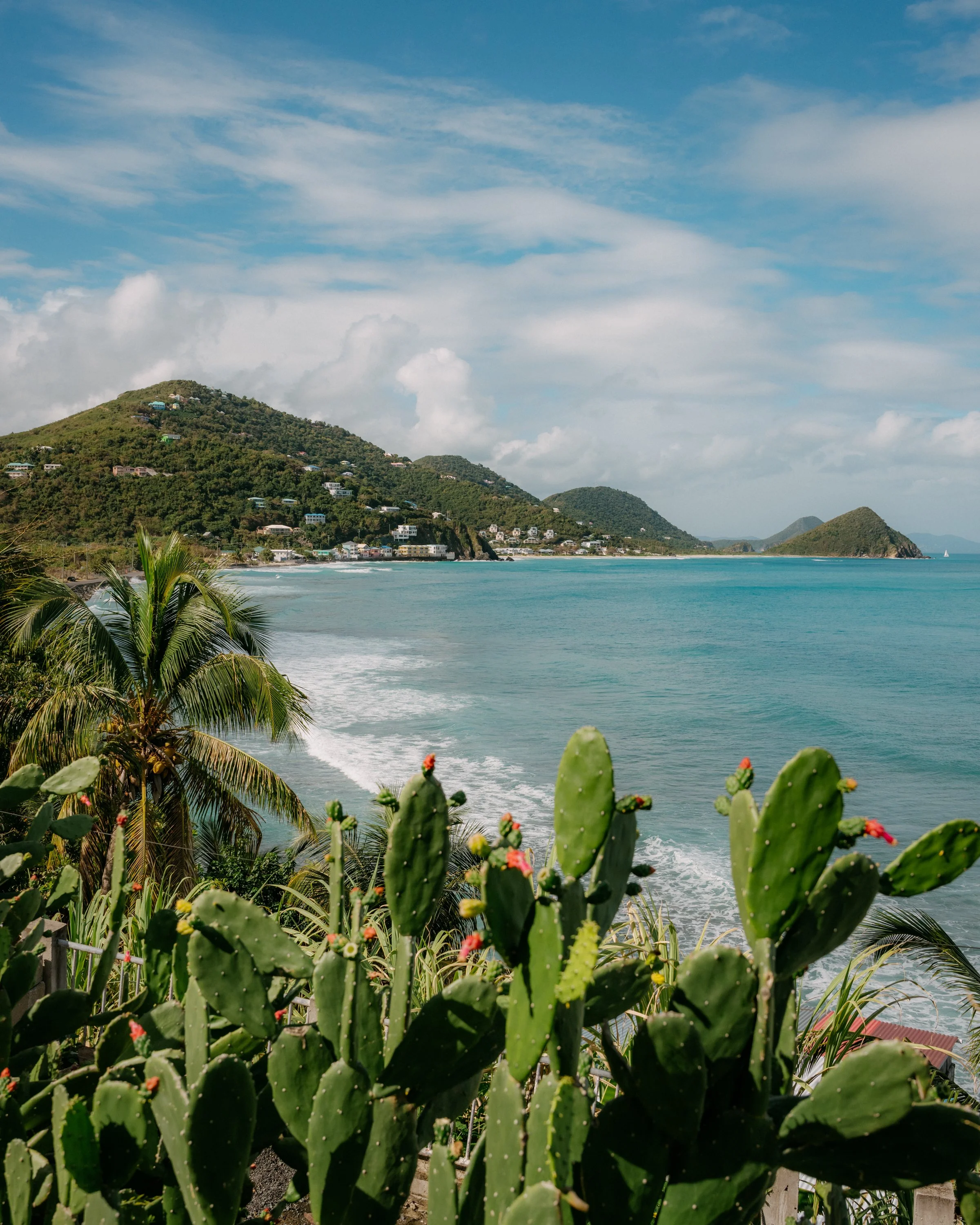 Tropical coastline with green hills, houses, palm trees, cactus plants, and the ocean under a partly cloudy sky.