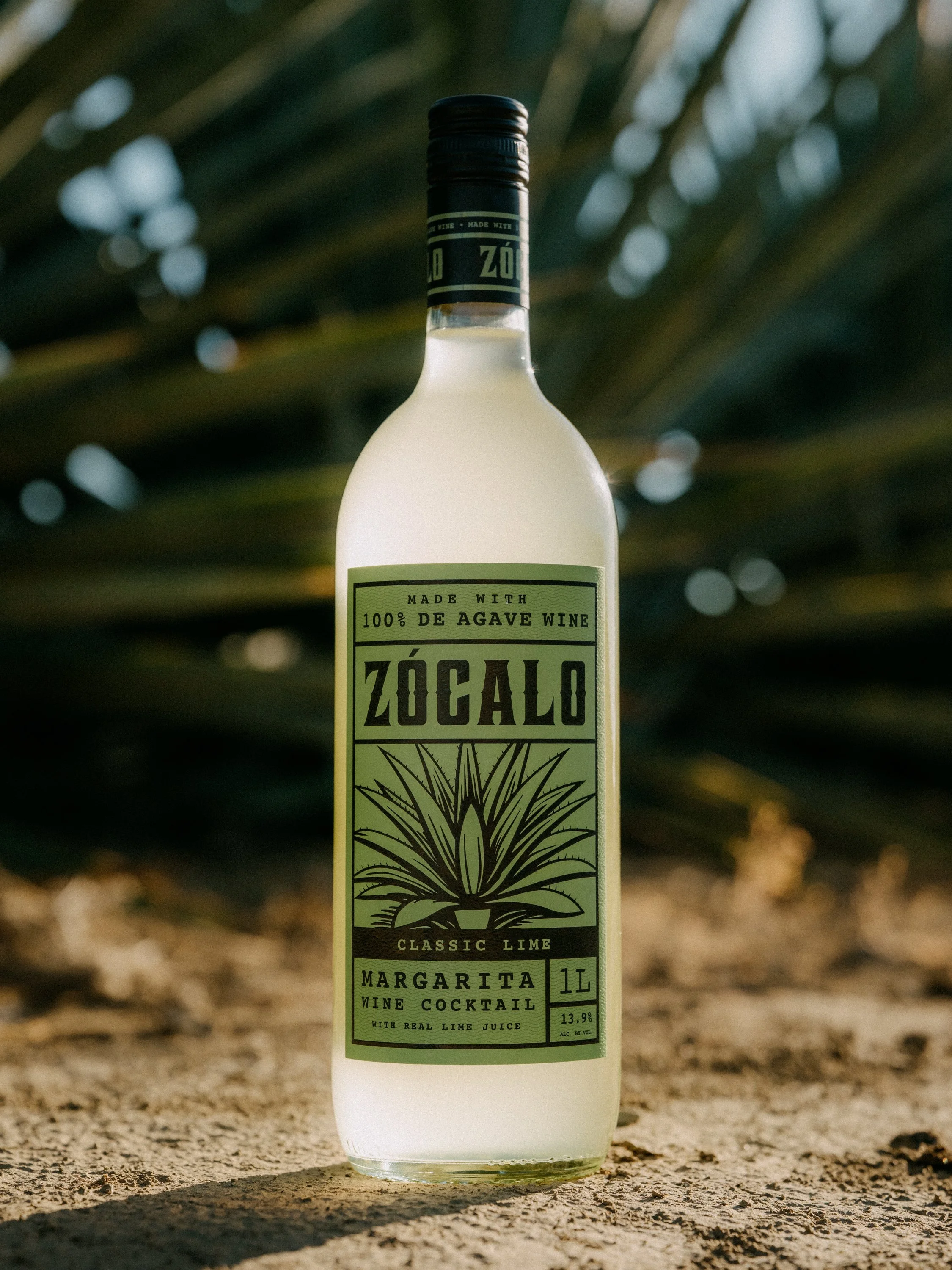 A bottle of Zócalo margarita cocktail with de agave wine, placed on dry sandy ground with blurred aloe plant in the background.