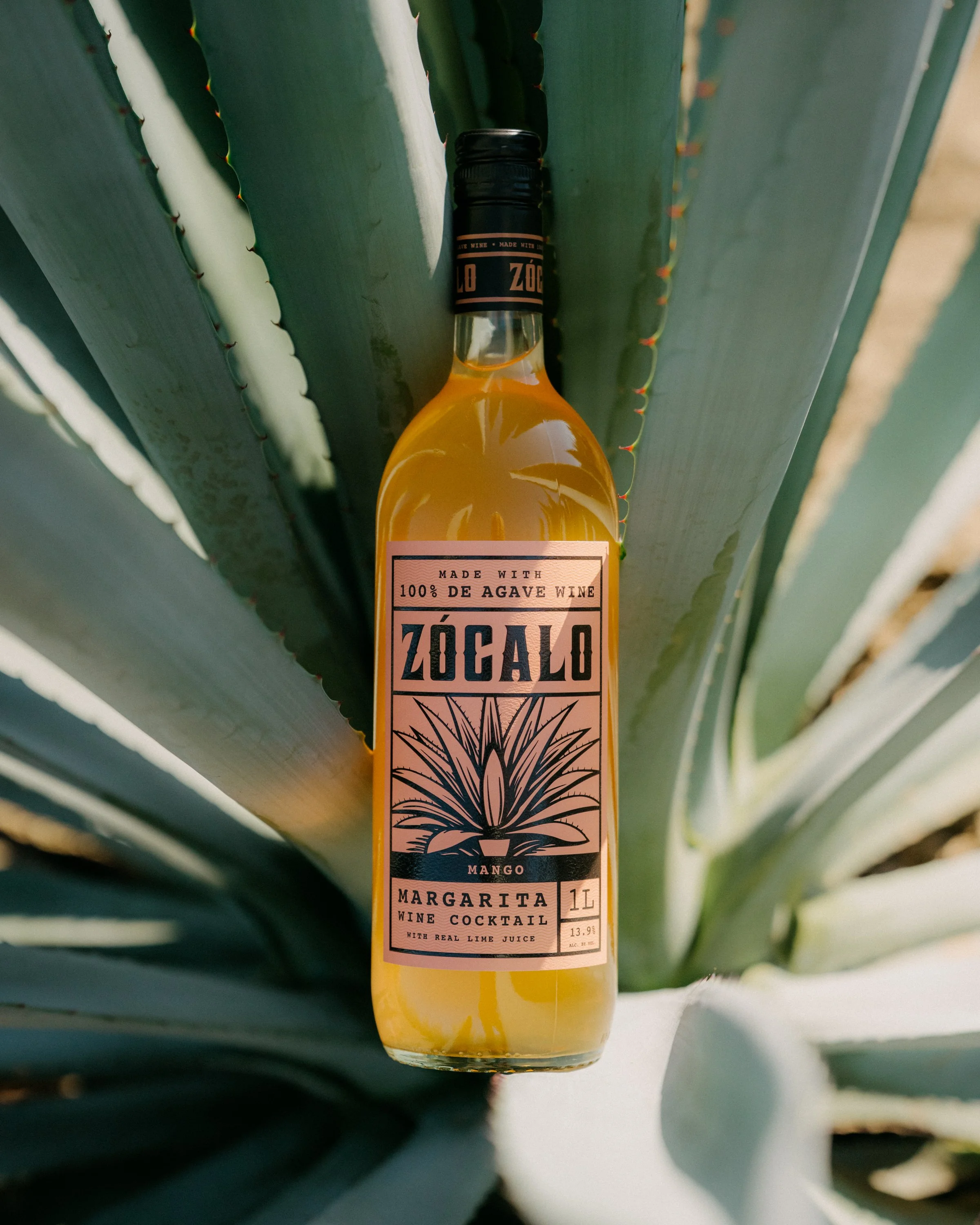 Zocalo-73.jpg