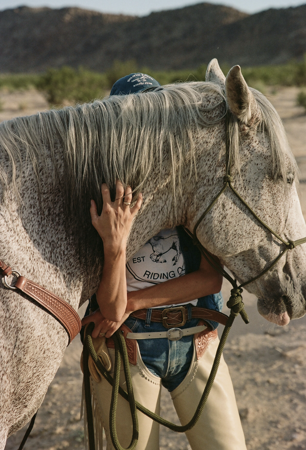 Person petting a white speckled horse outdoors with mountains in the background.
