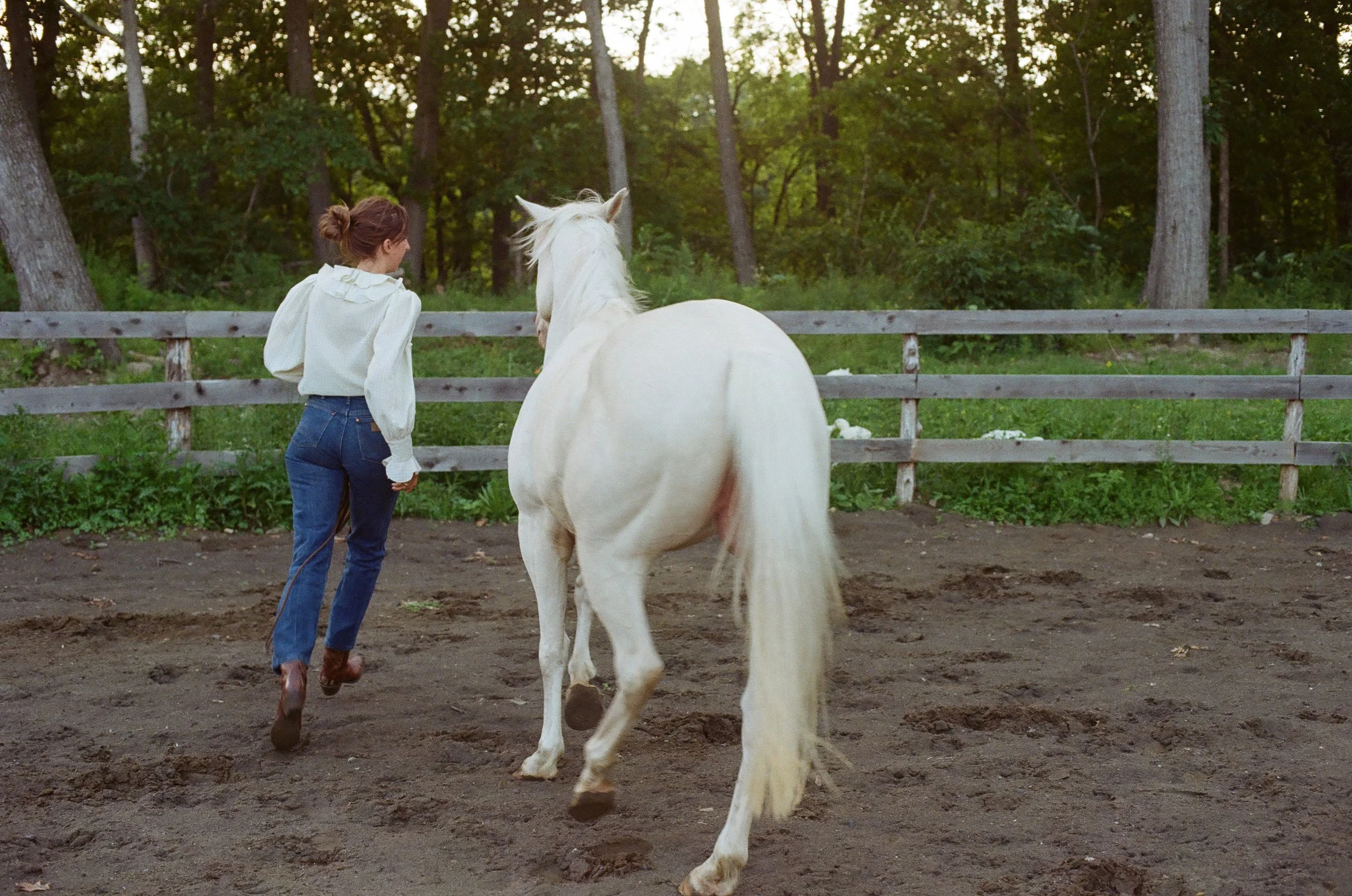 A woman walking with a white horse inside a fenced outdoor area surrounded by trees.
