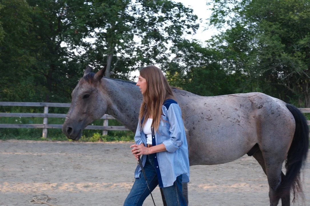 A woman holding a leash walks with a gray horse in an outdoor riding arena surrounded by green trees.