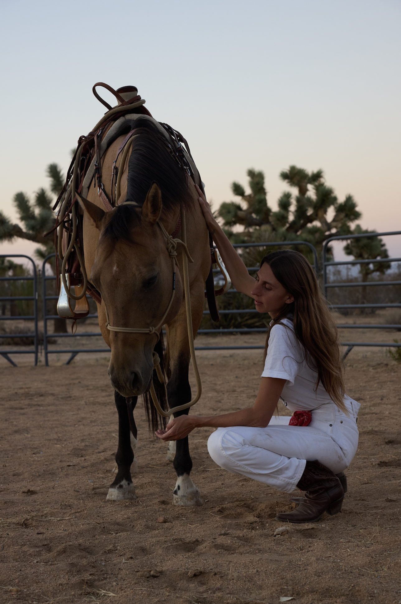 A woman dressed in white clothes kneeling on the ground, gently holding a brown horse's hoof. The horse is wearing a saddle and bridle, standing inside a fenced area with desert plants and trees in the background during the evening.