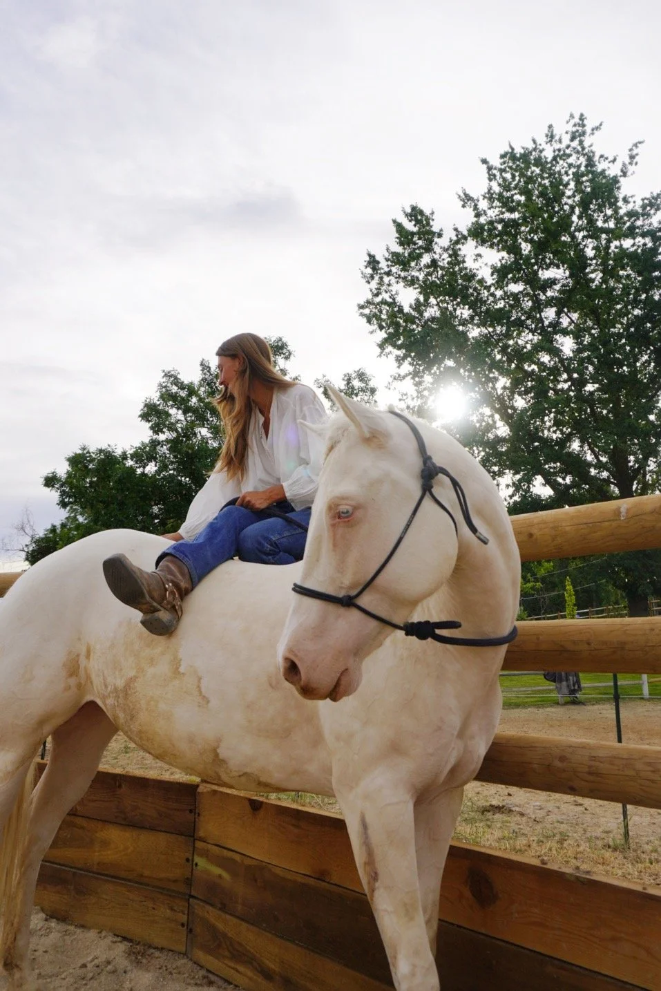 A woman sitting sideways on a white horse with a black bridle, near a wooden fence, with trees and a partly cloudy sky in the background.