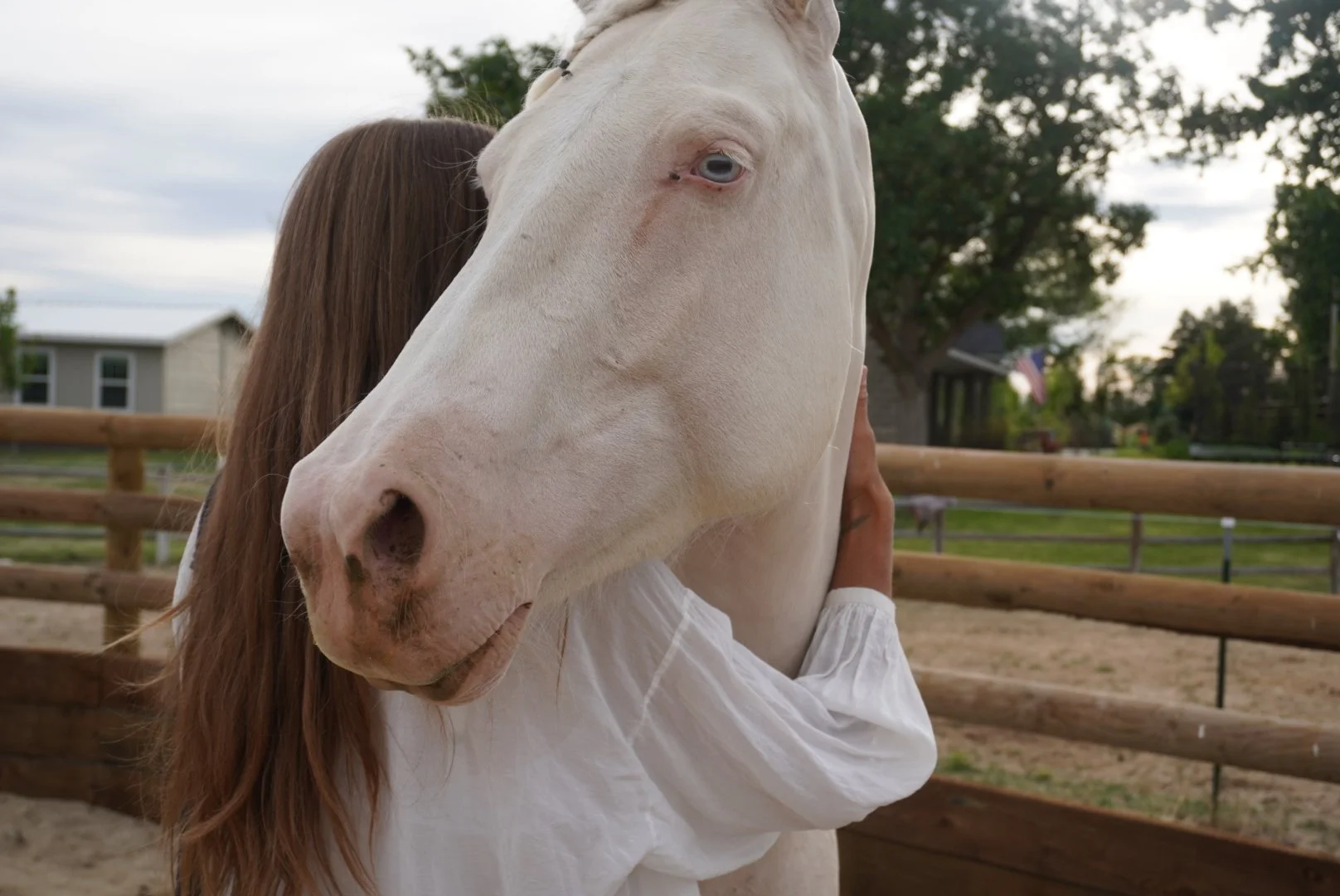 A person hugging a white horse with a brown mane in an outdoor fenced area with trees and houses in the background.