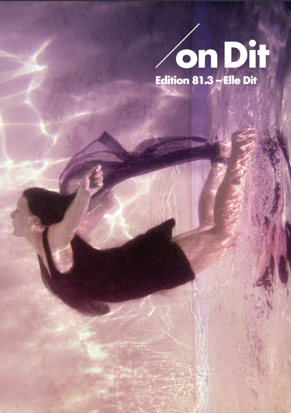 Edition 81.3