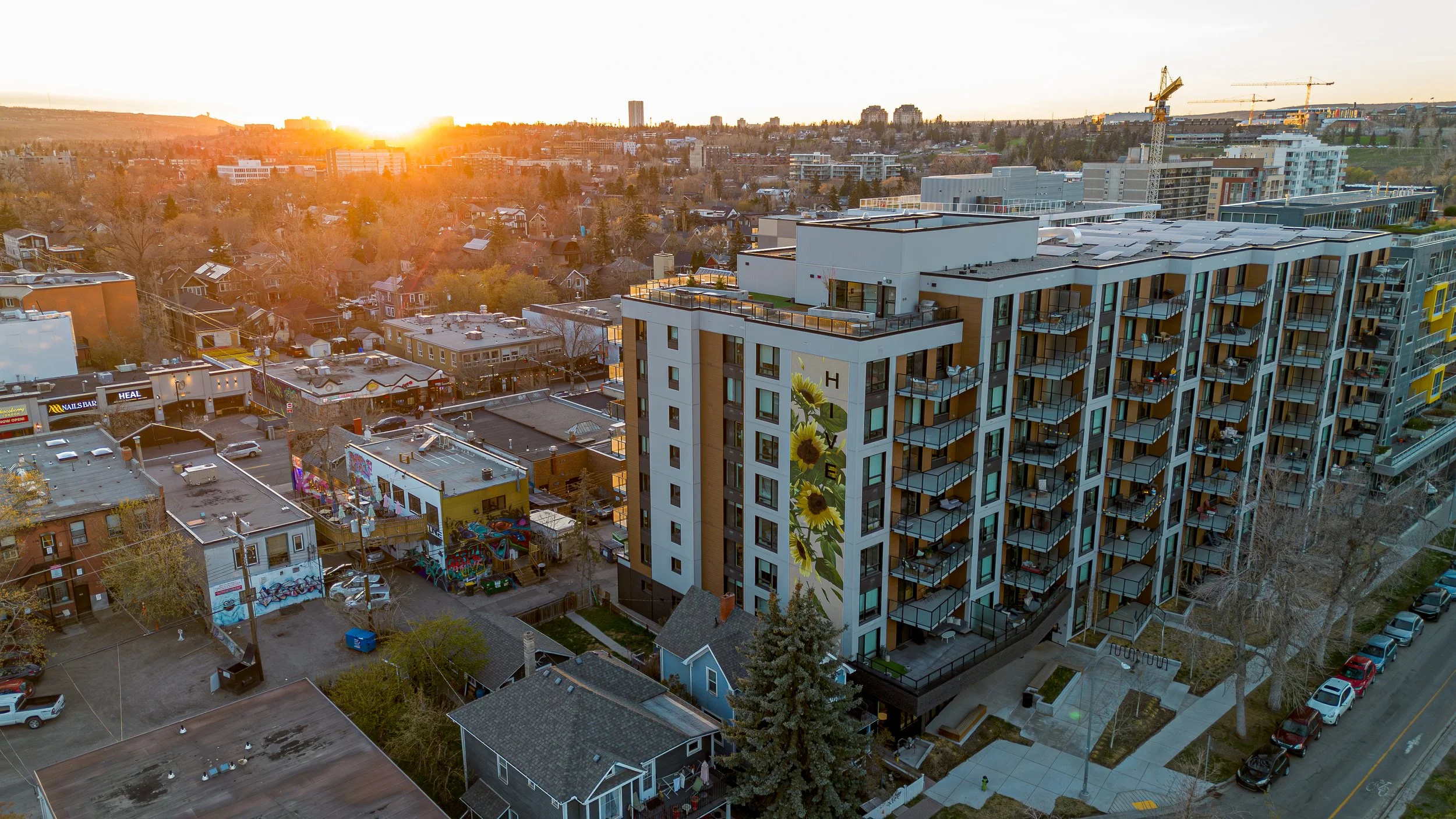 An image of an apartment building in Calgary AB "Hive in Sunnyside"