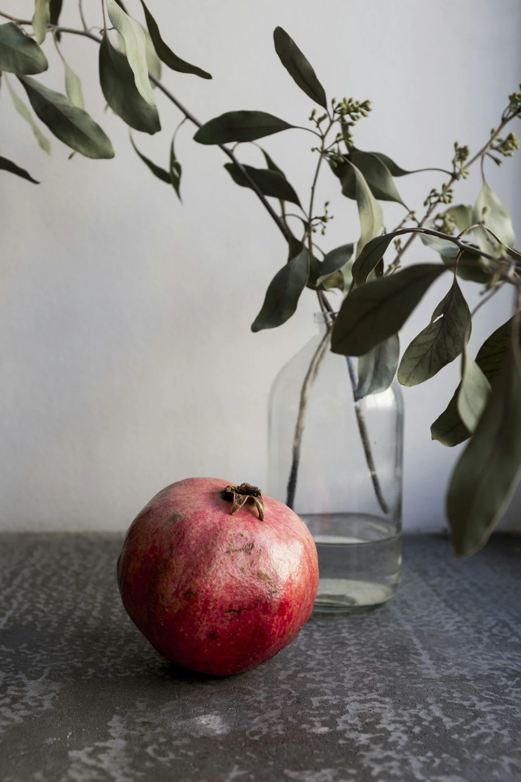 Women's health psychologist, female psychologist, executive coaching, inner west, Balmain, Drummoyne, post natal psychologist, perimenopause specialists, burnout therapist near me, adult ADHD assessment Sydney, EMDR therapy, technology limits