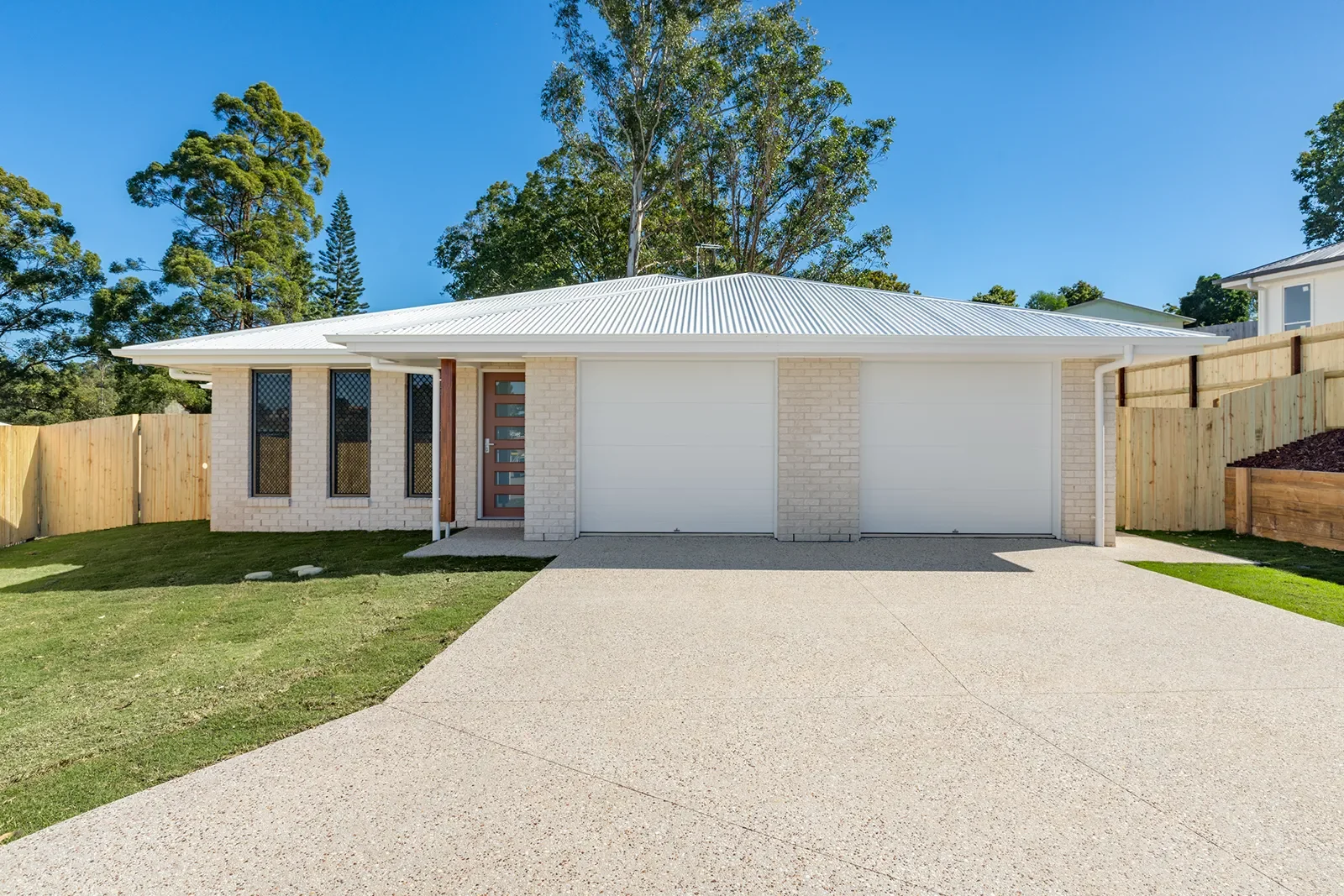 Eucalypt Gympie