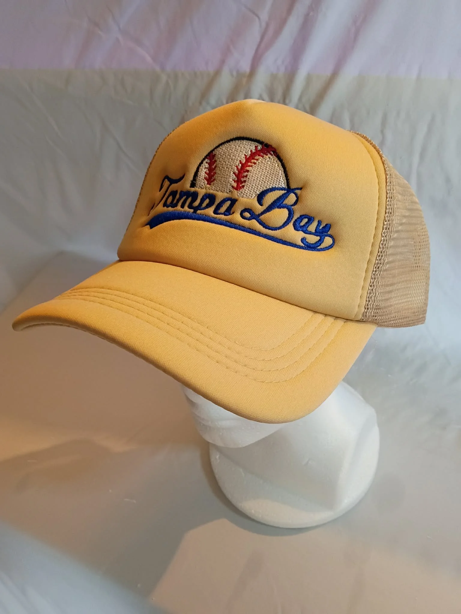 tampabaybaseballright.jpg