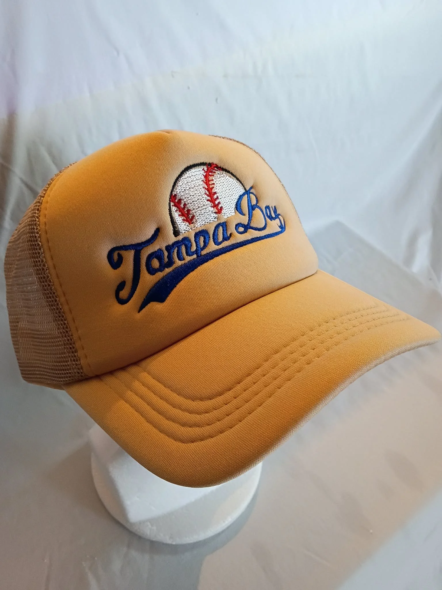 tampabaybaseballleft.jpg