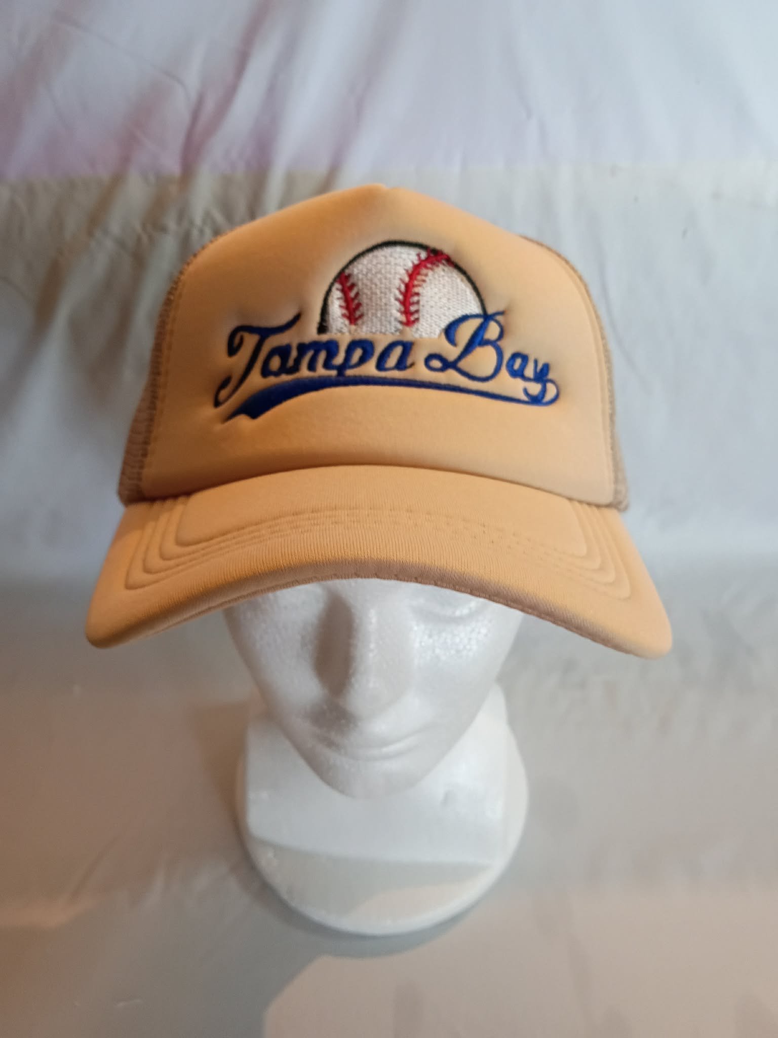Tampa Bay Baseball Embroidered puff hat