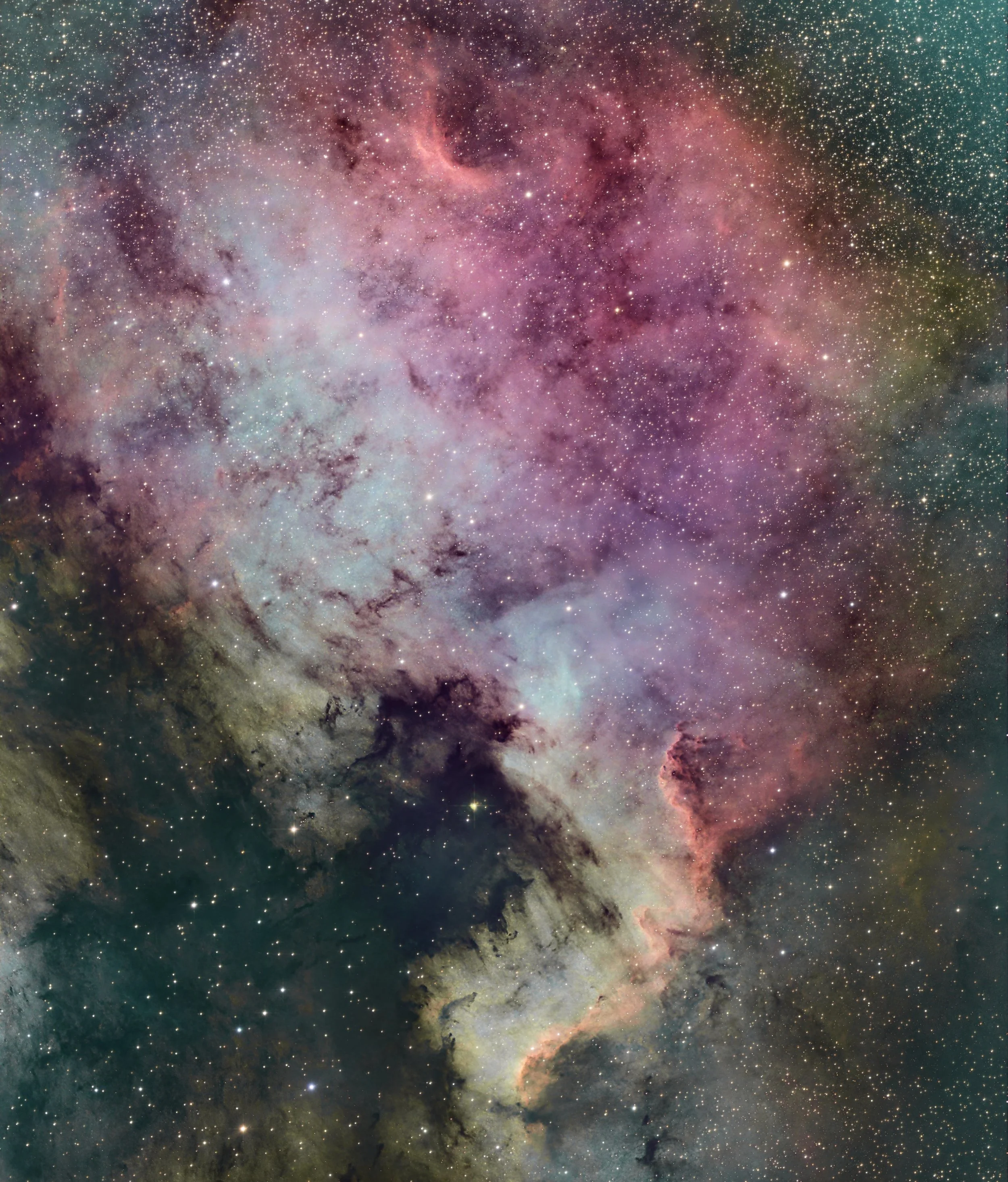 North American Nebula (NGC 7000)