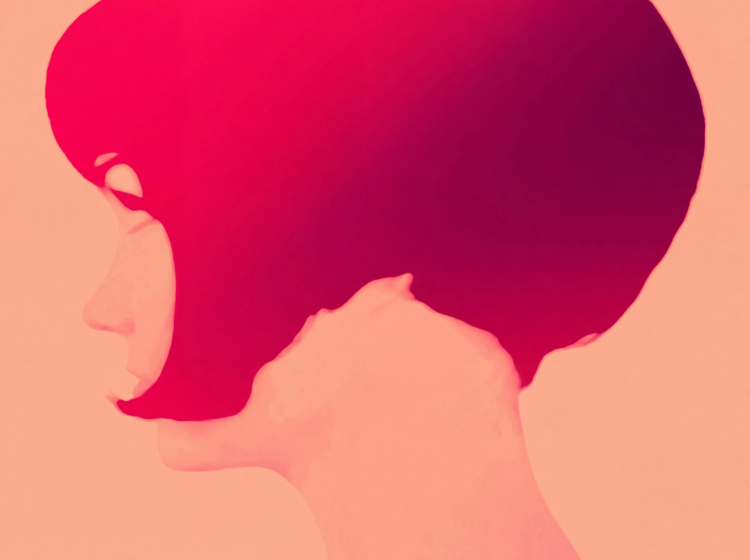 Close-up of torn pink flower petals with a silhouette of a person's face in profile on the petals.