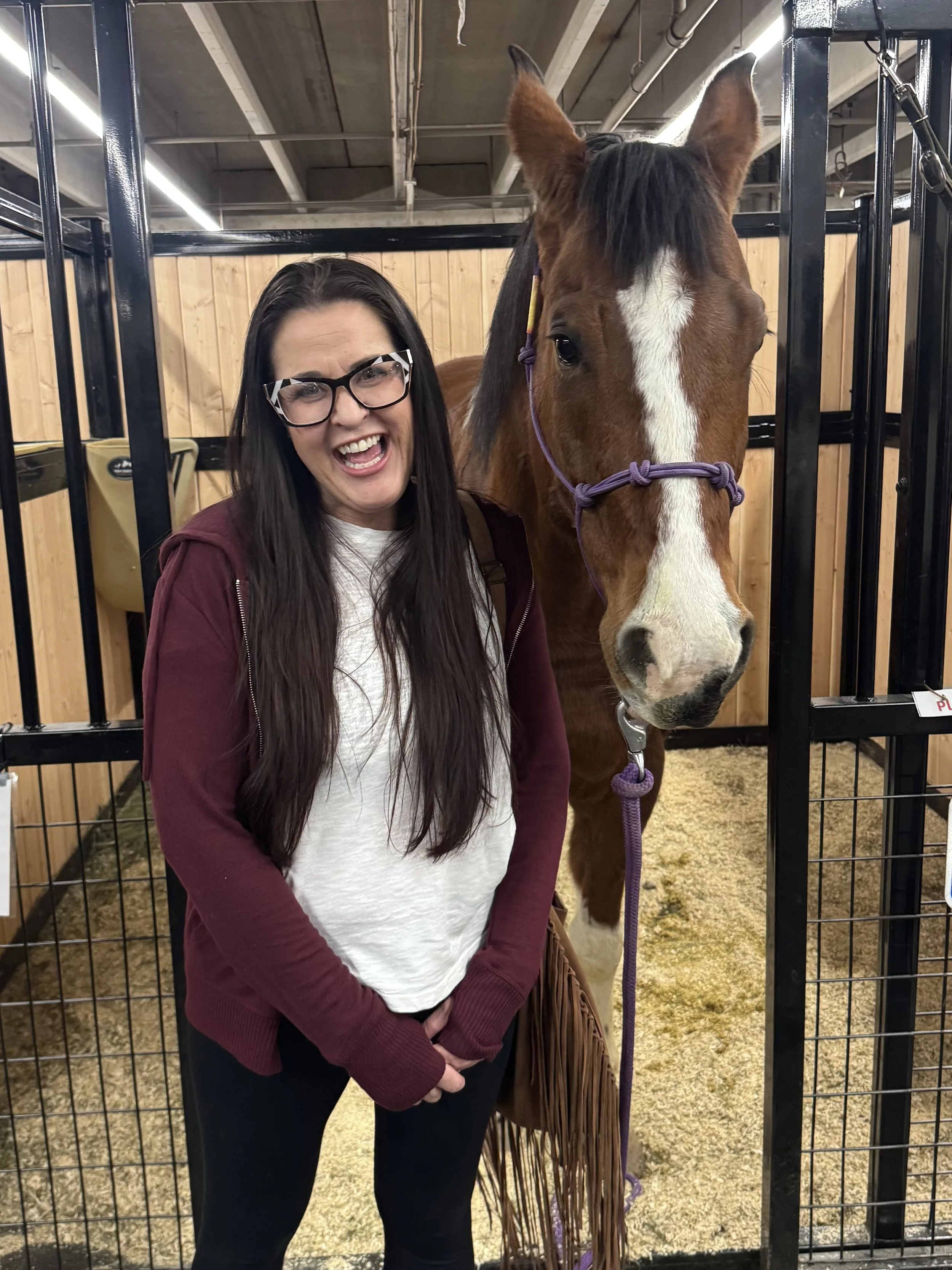 Animal reiki healer and energy healer in Colorado