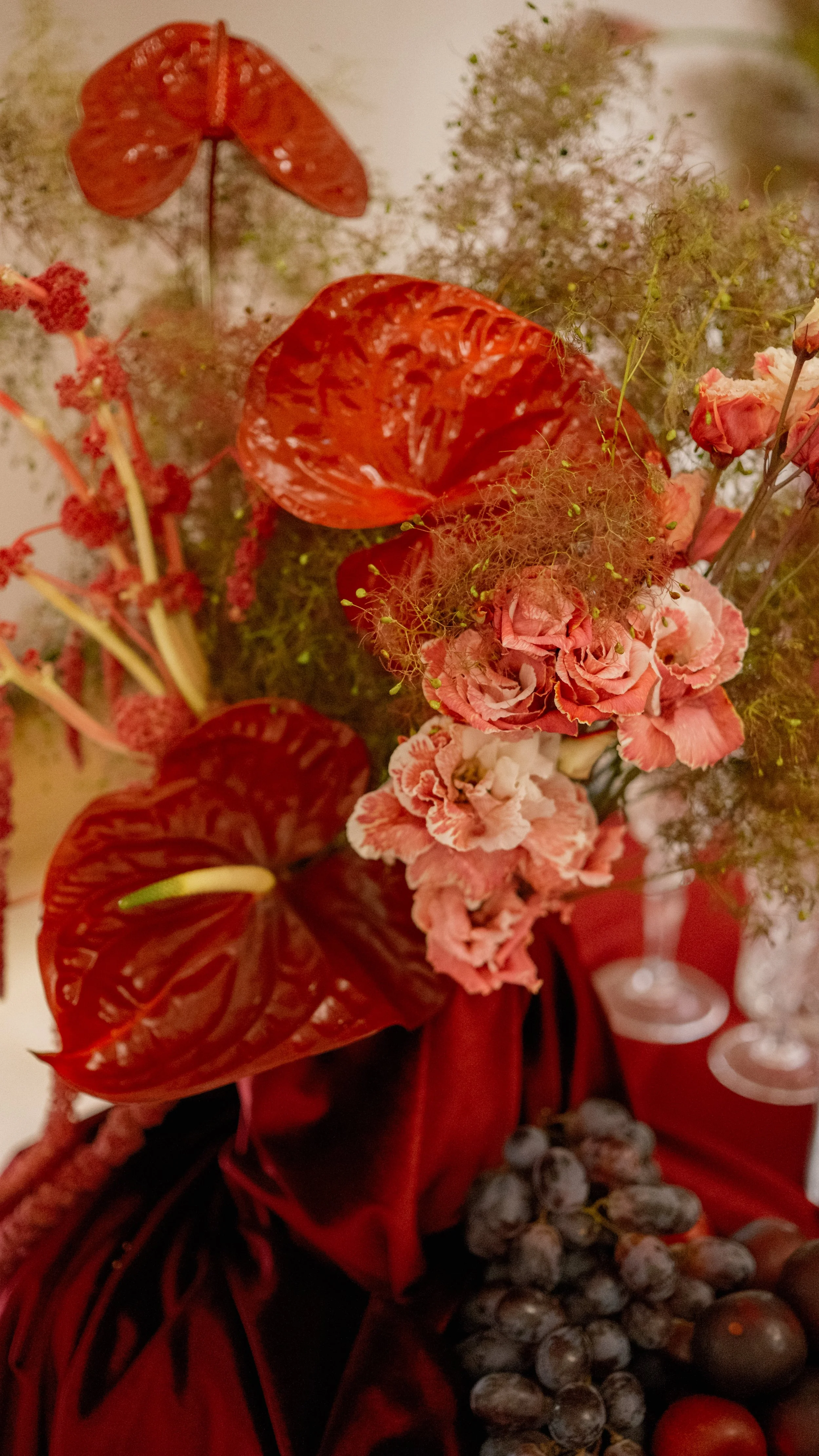 DSCF5678.jpg