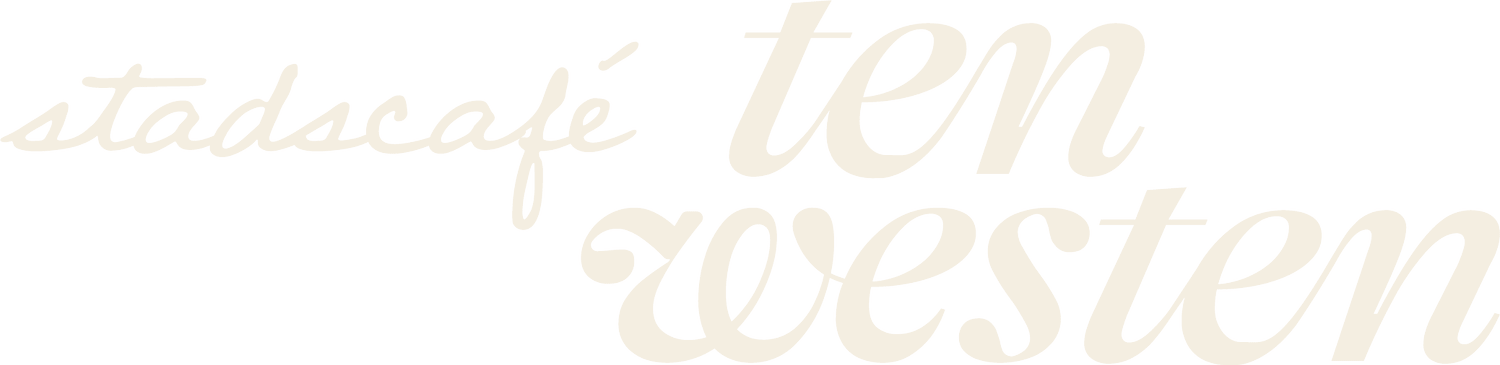 Ten Westen &mdash; Stadscafé Amsterdam | Shared Dining &amp; Zonsondergangterras