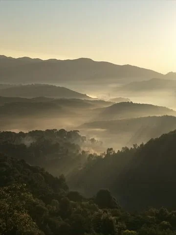 Why Burma Produces the World's Most Valuable Rubies 